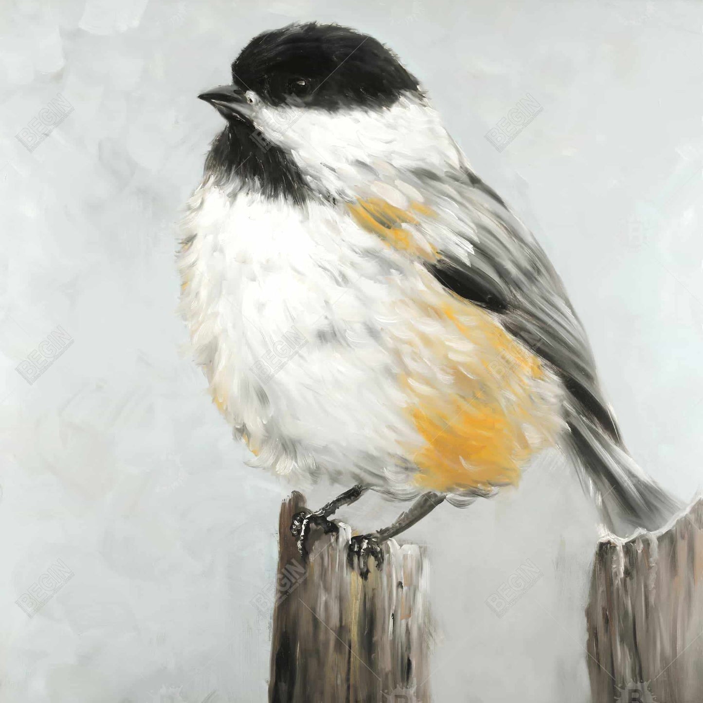 Gray Contemporary Bedroom Canvas - Coal Tit Bird Home Decor