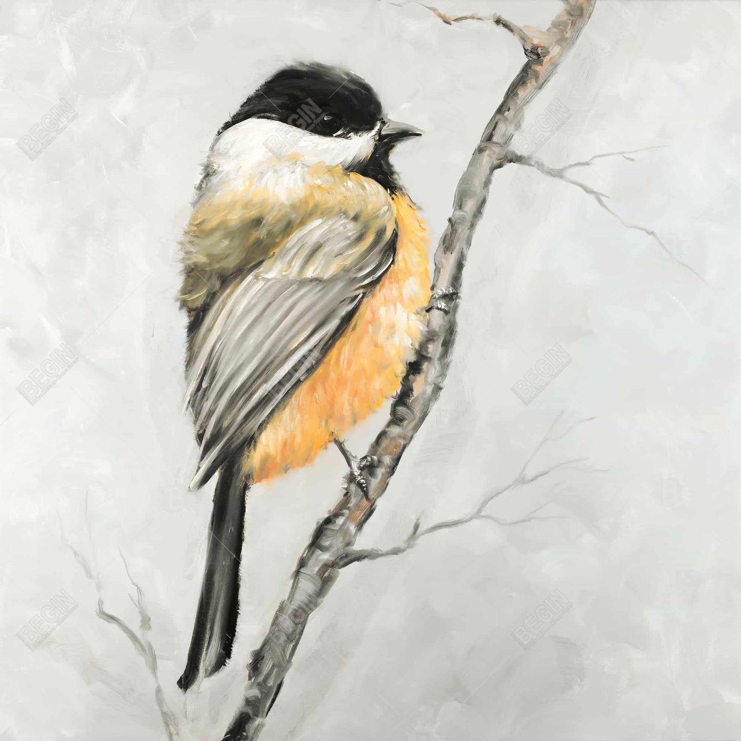 Small Coal Tit Gray Canvas - Contemporary Home Decor Art