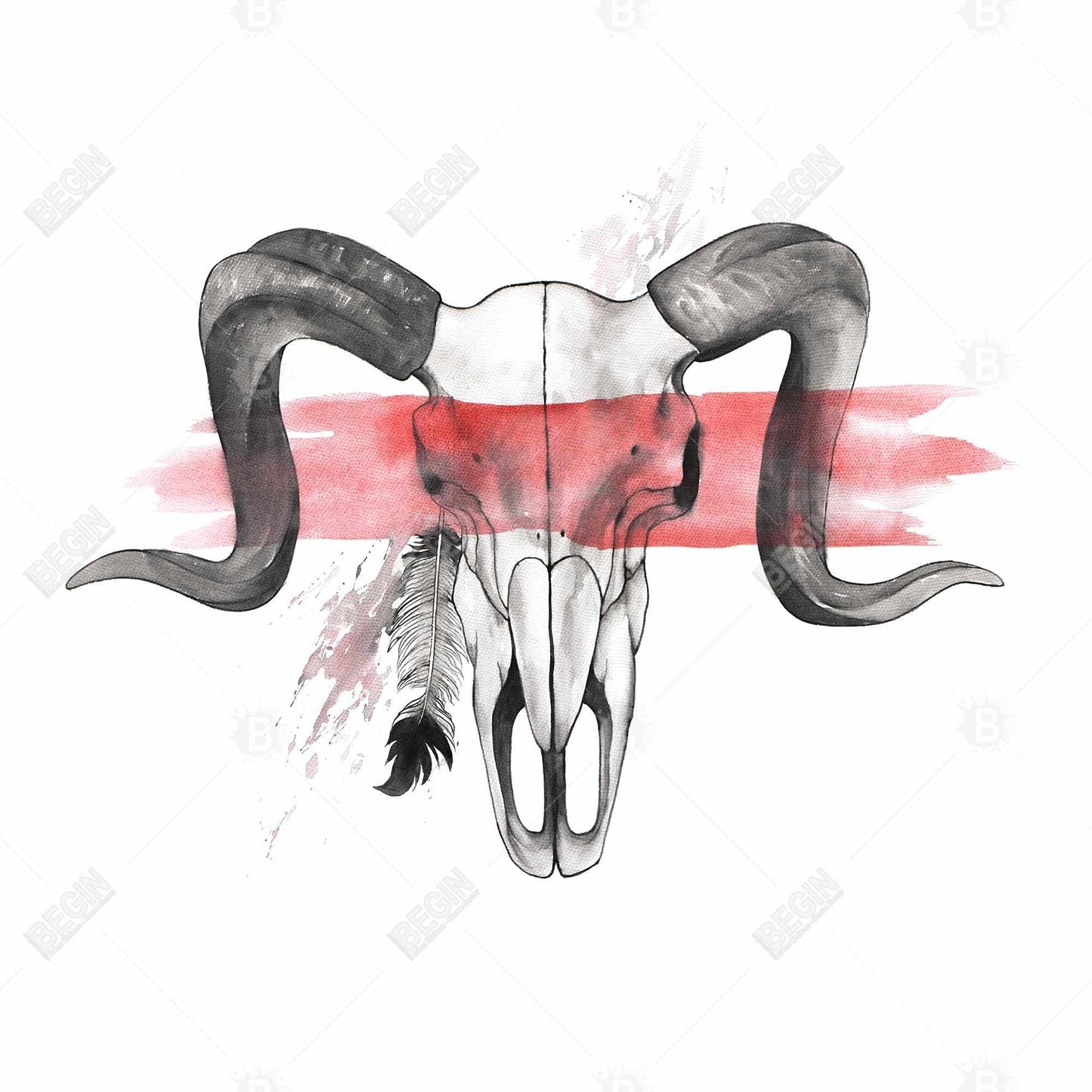 Aries Skull with Feather Canvas - Ethnic Gray Home Decor