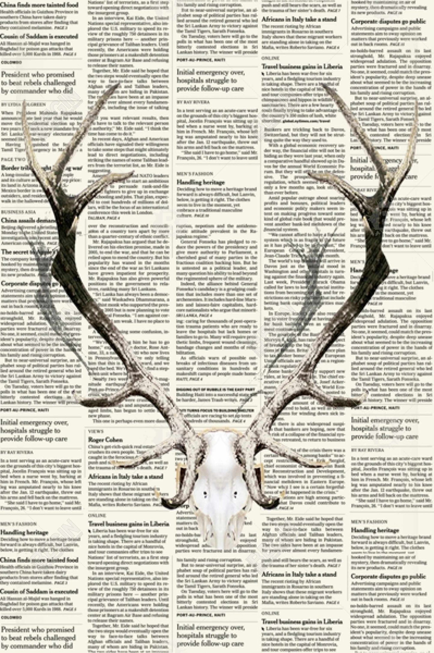 Rustic Brown Bedroom Canvas | Deer Horns on Newspaper Decor
