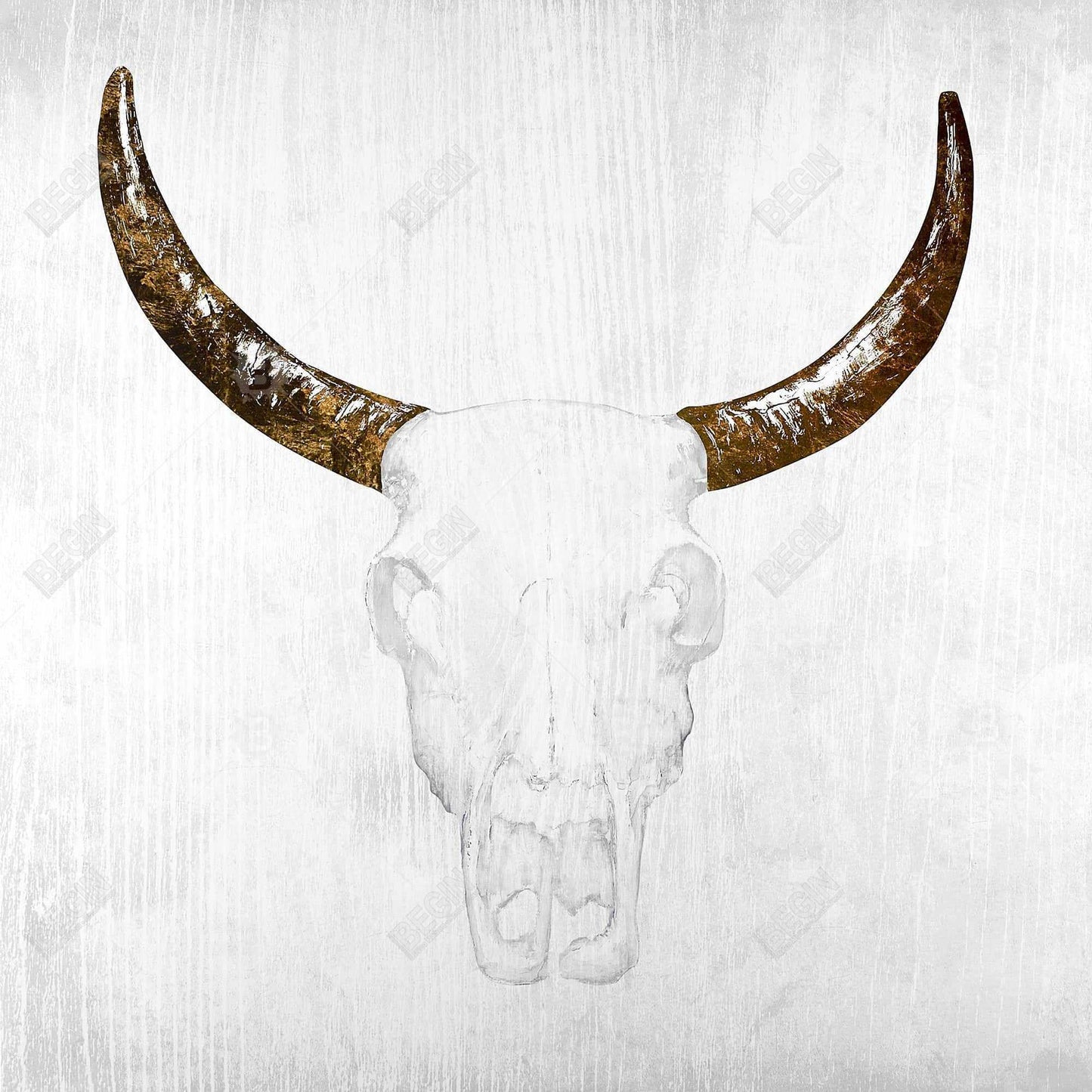 Bull Skull Canvas | Farm Animals Bedroom Decor | White, Brown