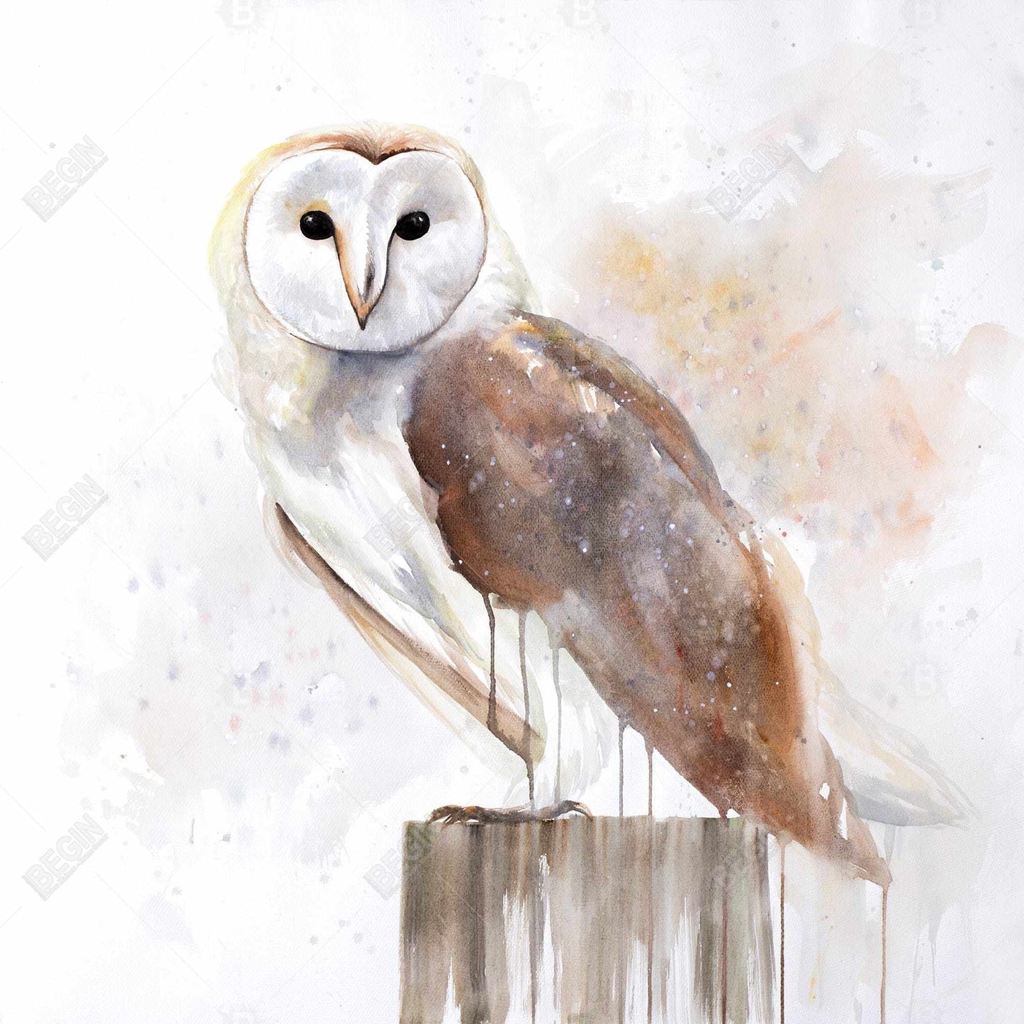 Toile Chouette effraie – Décoration de chambre rustique | Art d'oiseau encadré