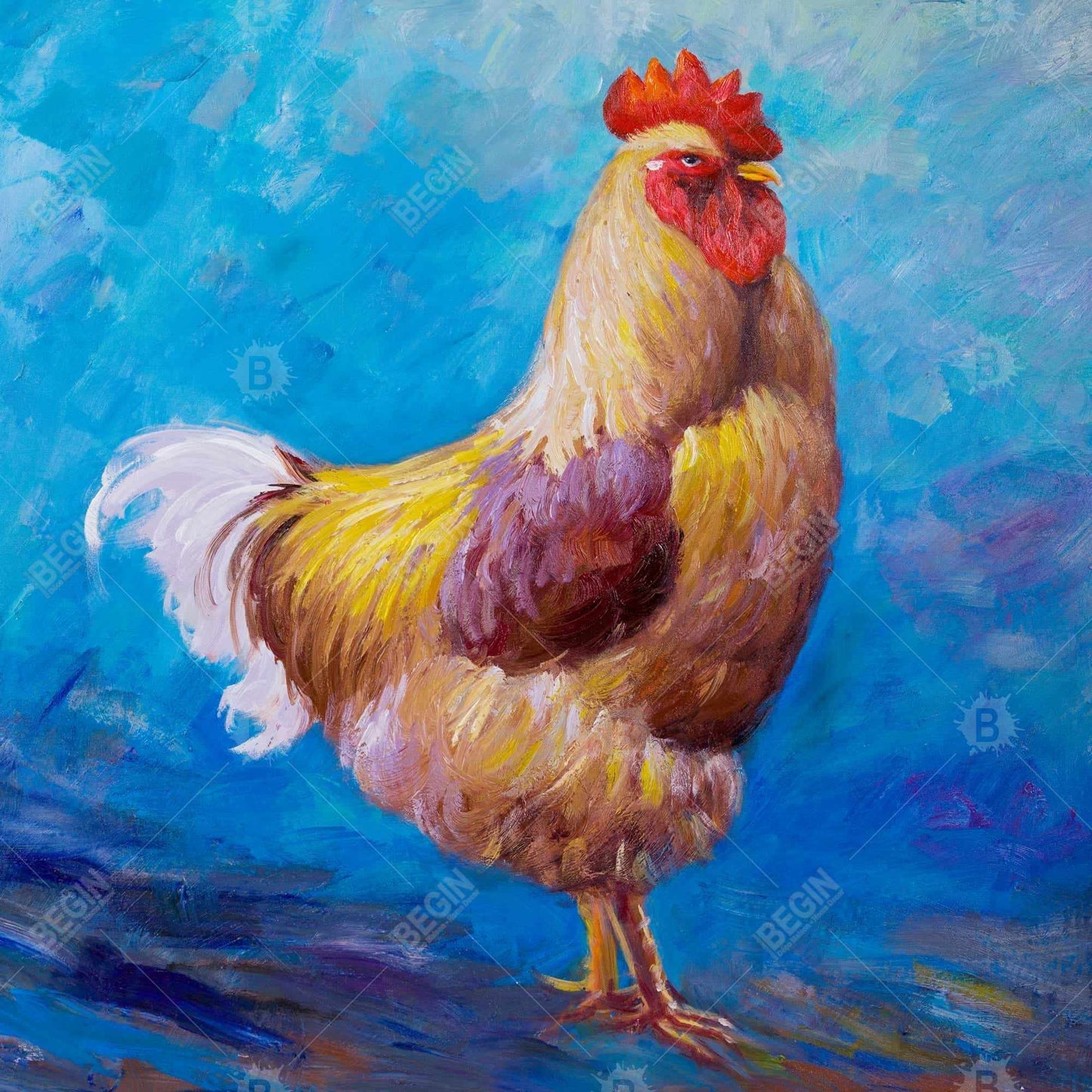Magnifique toile représentant un coq de ferme - Décoration d'intérieur encadrée bleue
