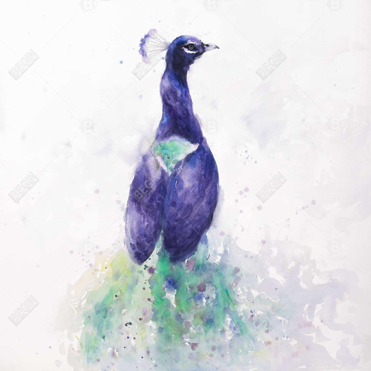 Graceful Peacock Purple Canvas - Elegant Bird Bedroom Decor