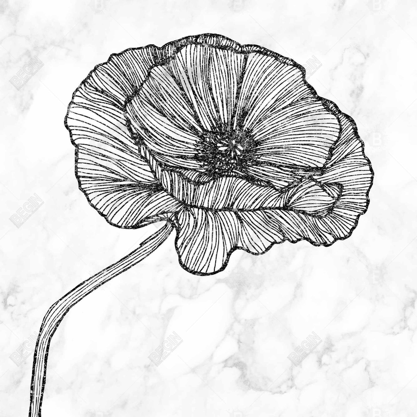 Toile à motif de coquelicots lumineux | Cadre monochrome blanc