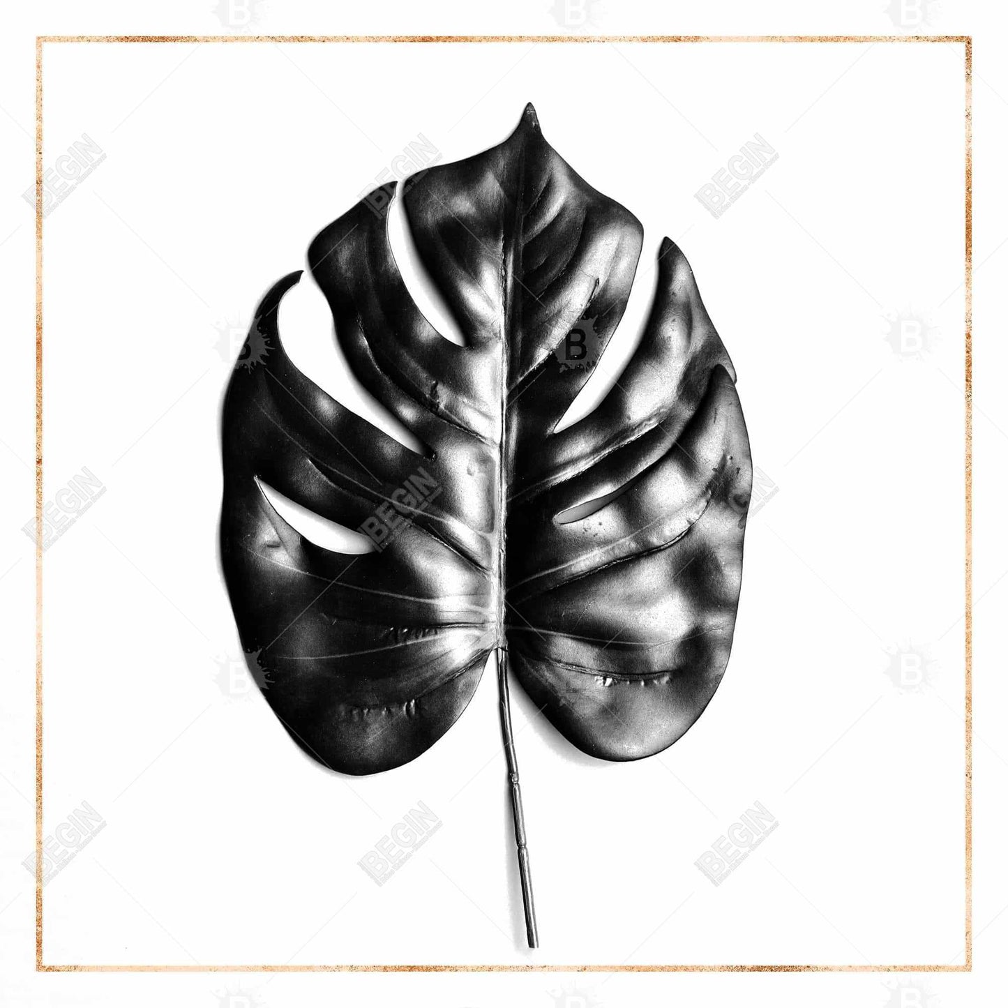 Toile botanique exotique | Décoration murale Philodendron à feuilles fendues