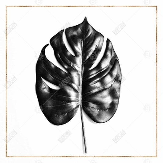 White Exotic Livingroom Canvas | Split Leaf Philodendron Art