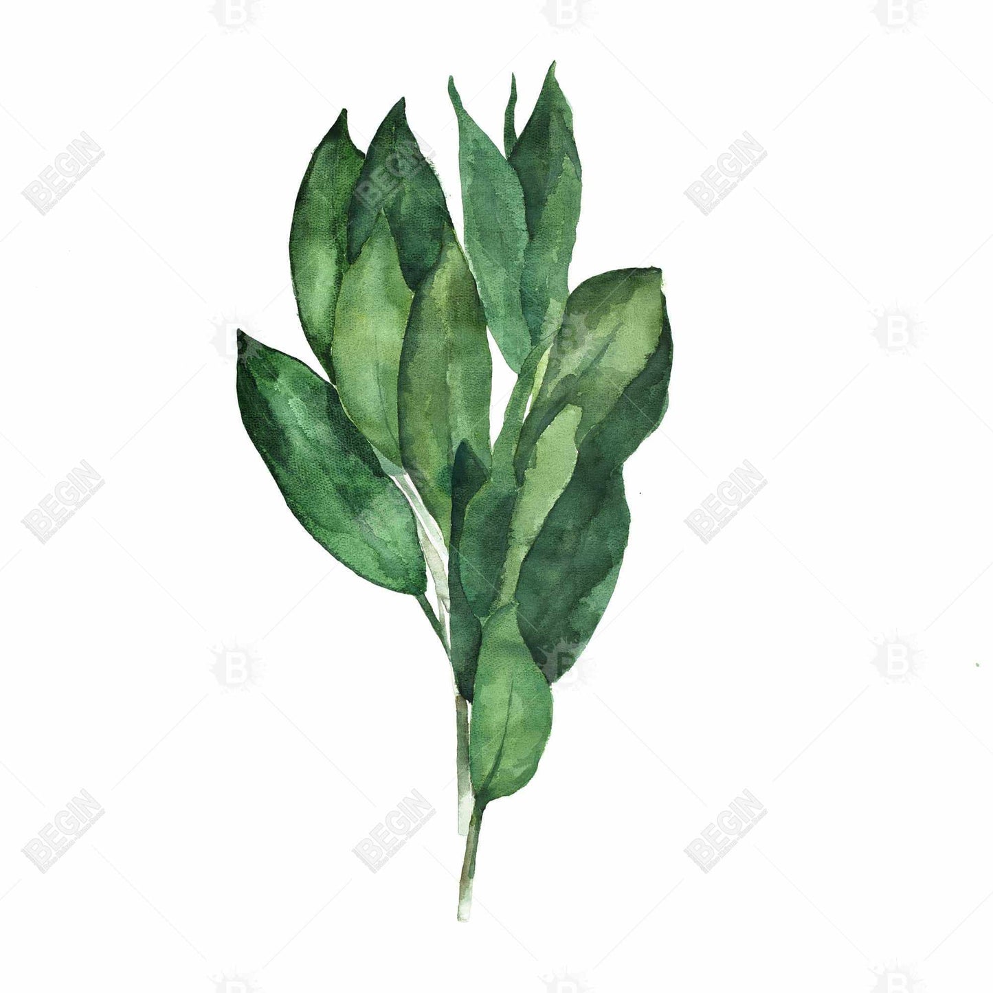 Toile encadrée « Feuilles de laurier » | Décoration de cuisine minimaliste