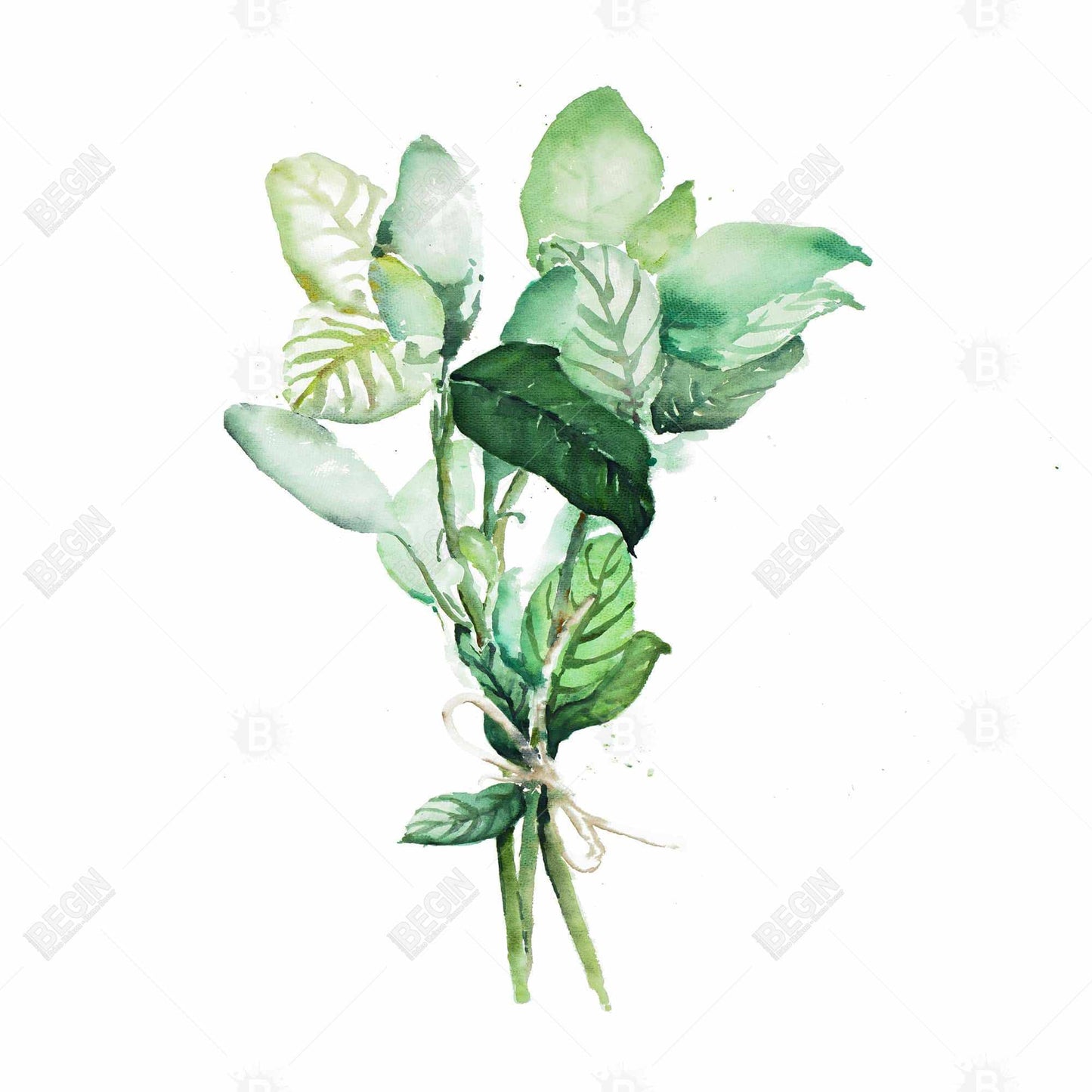 Tied Up Basil Leaves Canvas | White Kitchen Wall Decor