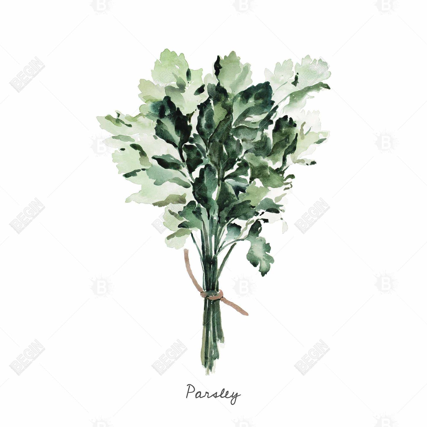 Tied Up Persil Bundle Canvas | Leaves Art for Home Decor