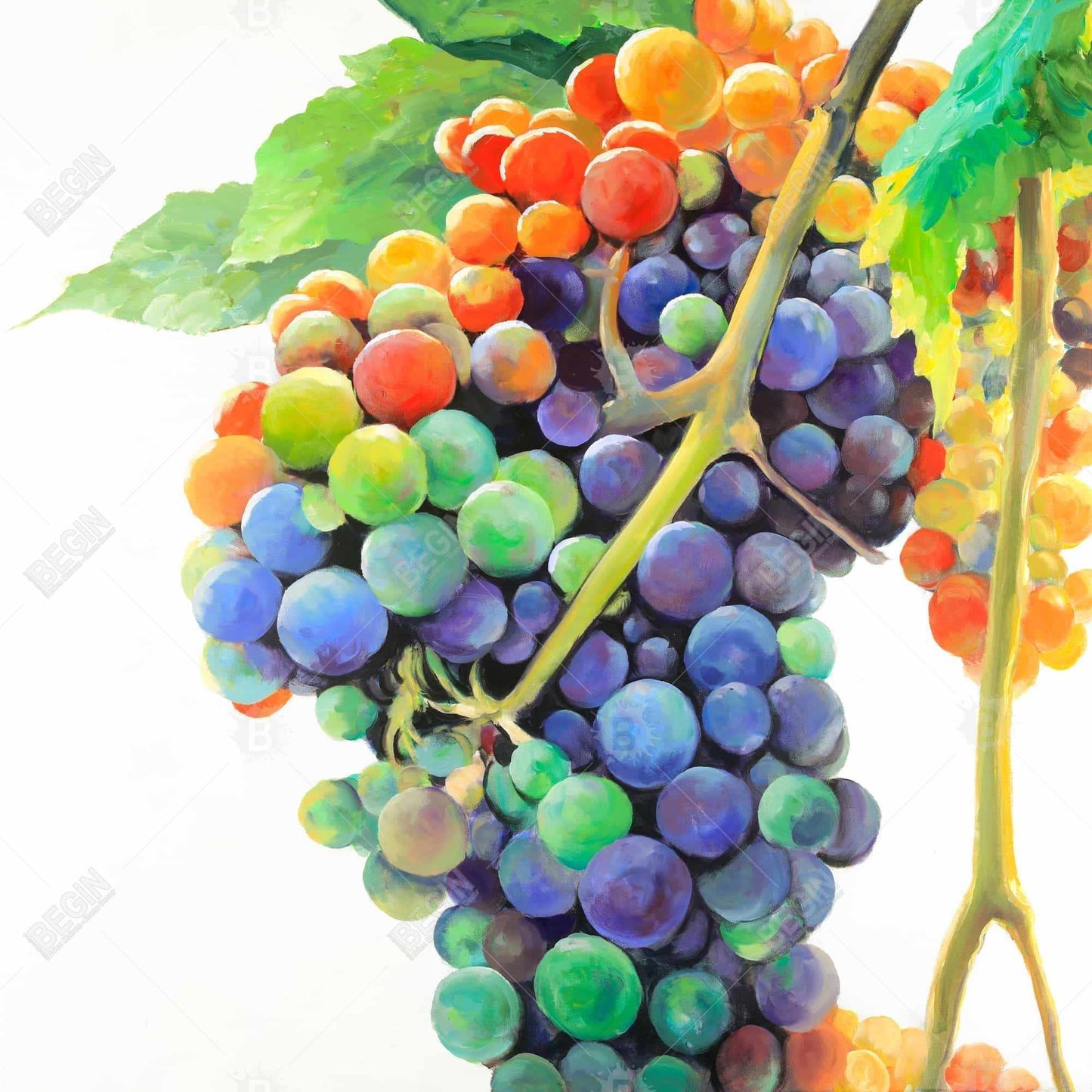 Colorful Grapes Canvas | Framed Art for Home Decor