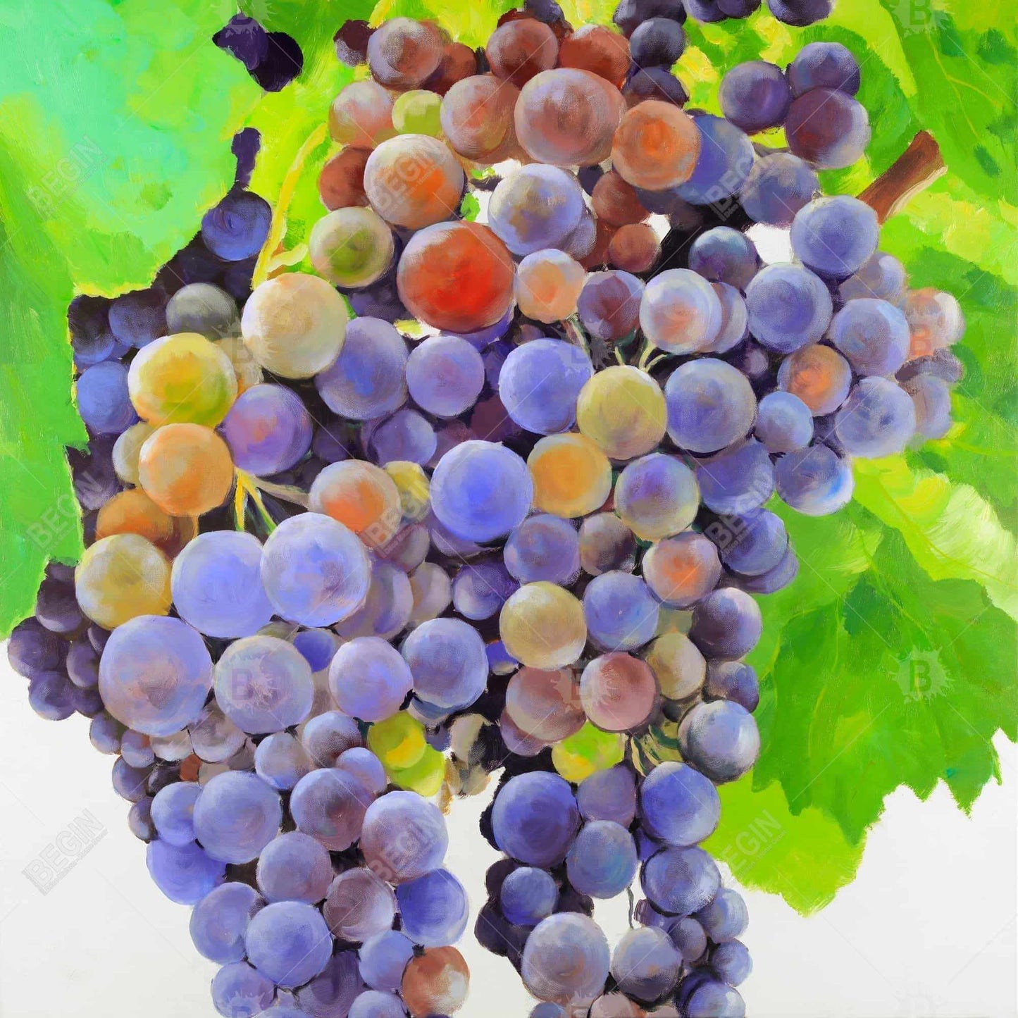 Bunch of Grapes Framed Canvas | Kitchen Decor | Home Art