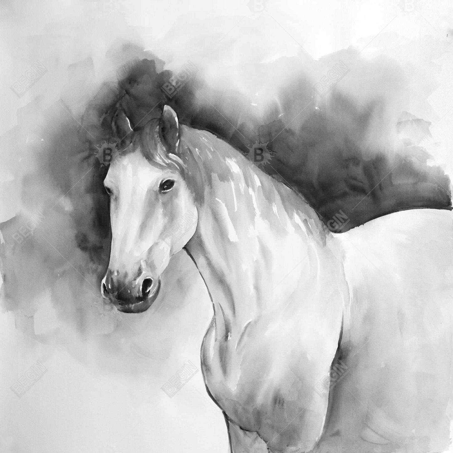 Domino Horse Minimalist Framed Canvas | Farm Animal Decor