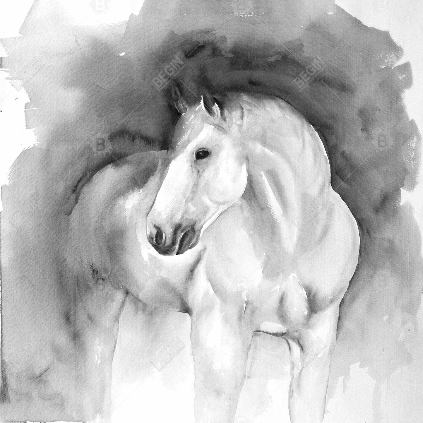 Beauty Animals Bedroom Canvas | White Framed Home Decor