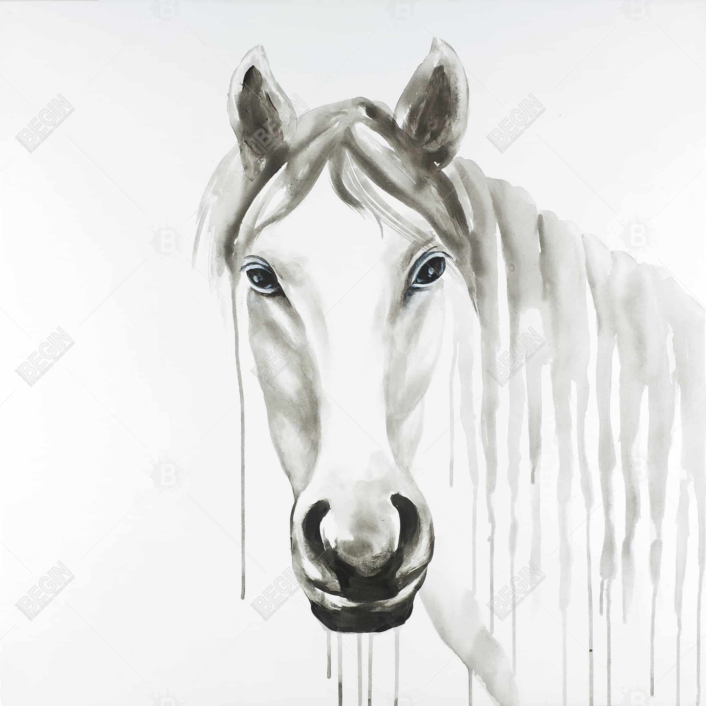 Solitary White Horse Canvas | Farm Animal Bedroom Decor