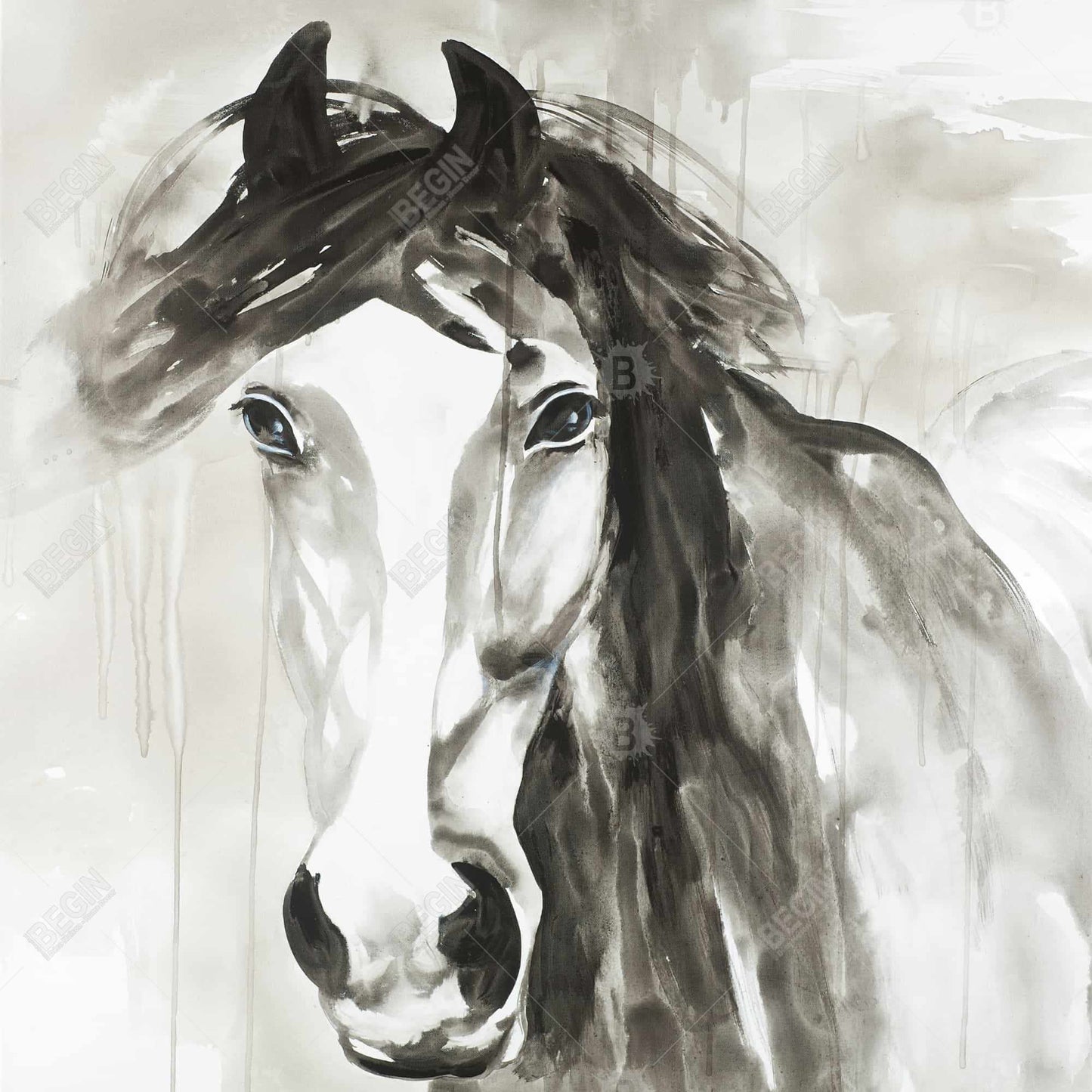 Beautiful Wild Horse Canvas | Minimalist Home Decor Art