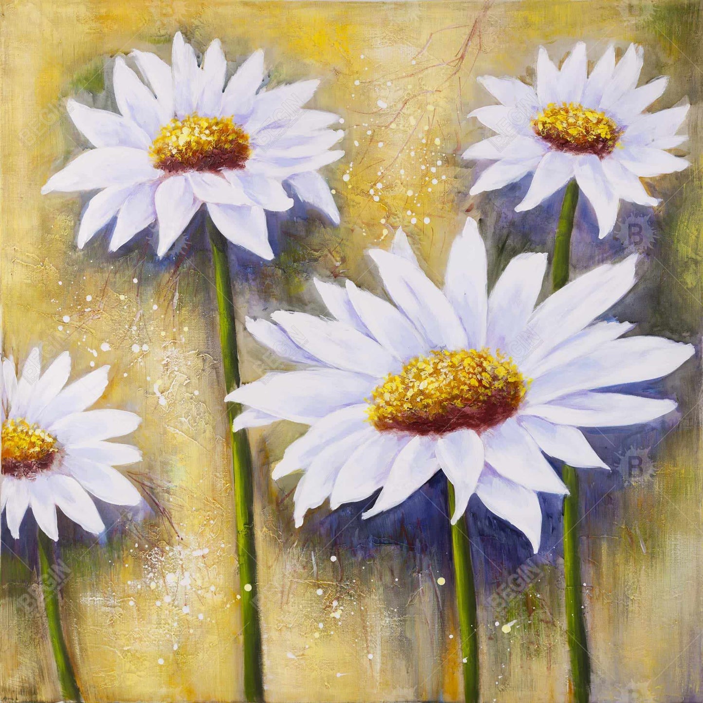 Daisies at Sun - White Floral Botanical Canvas | Home Decor