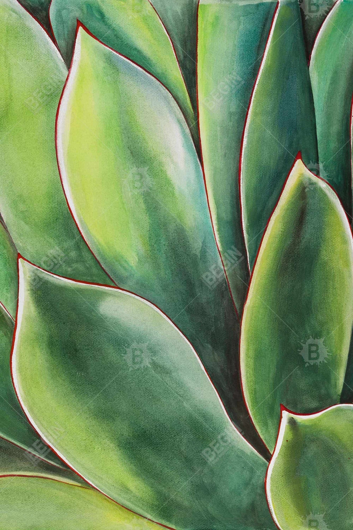 Watercolor Agave Plant | Botanical Magnetic Canvas Decor