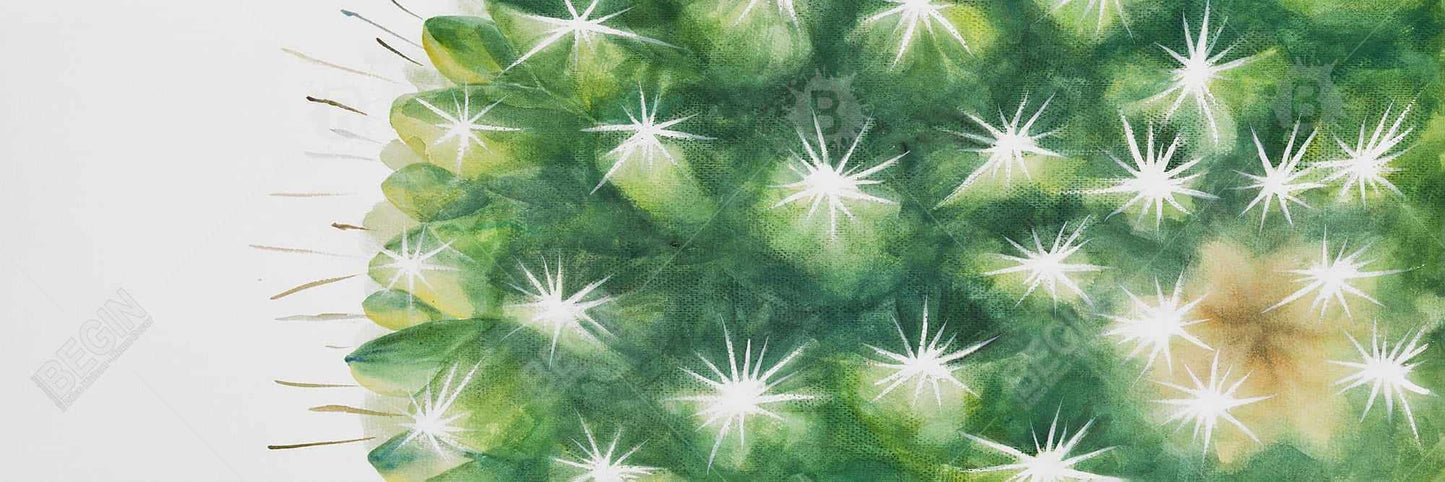 Watercolor Mini Cactus Green Framed Canvas - Bedroom Decor