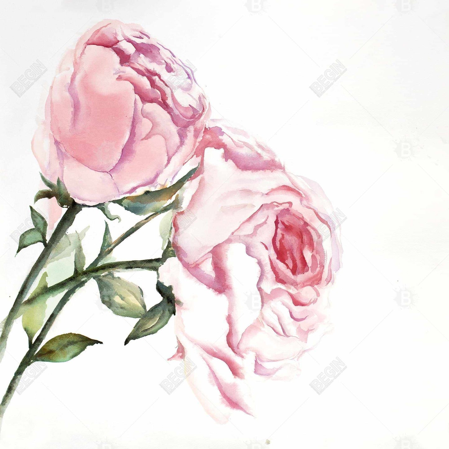 Toile florale romantique rose | Décoration d'intérieur avec roses aquarelles