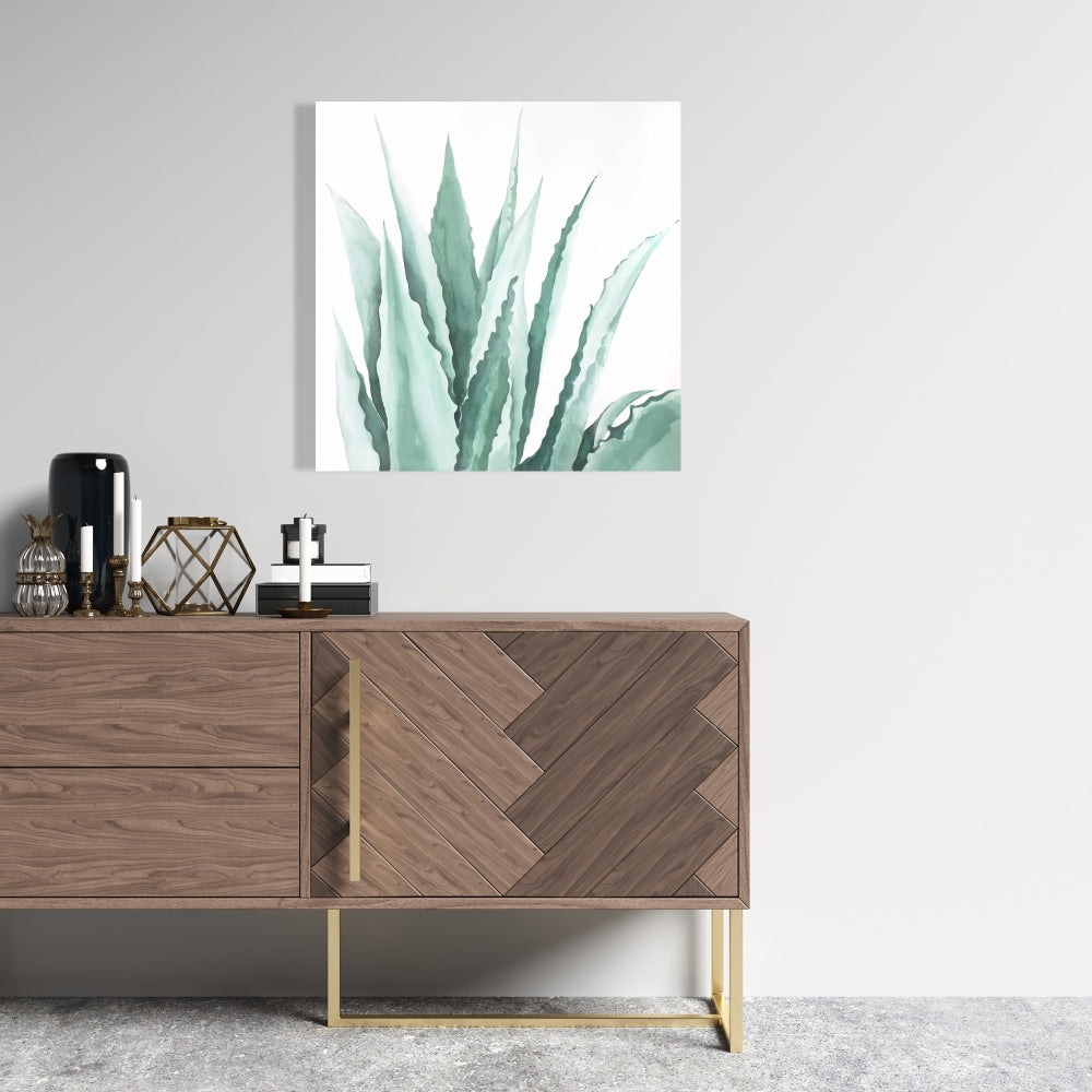 Watercolor Agave Plant Canvas | White Exotic Floral Decor