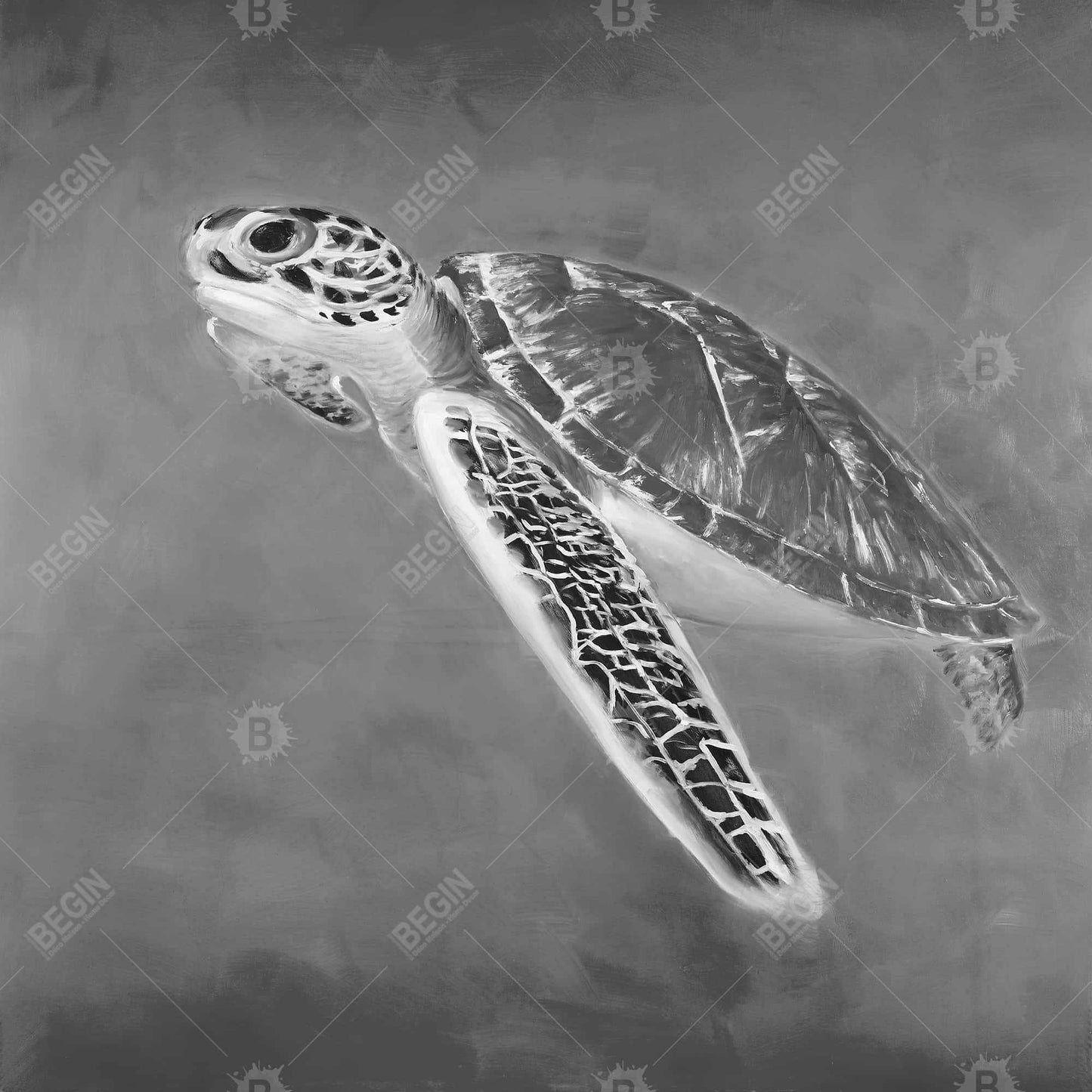 Grayscale Sea Turtle Canvas | White Aquatic Decor Framed Art