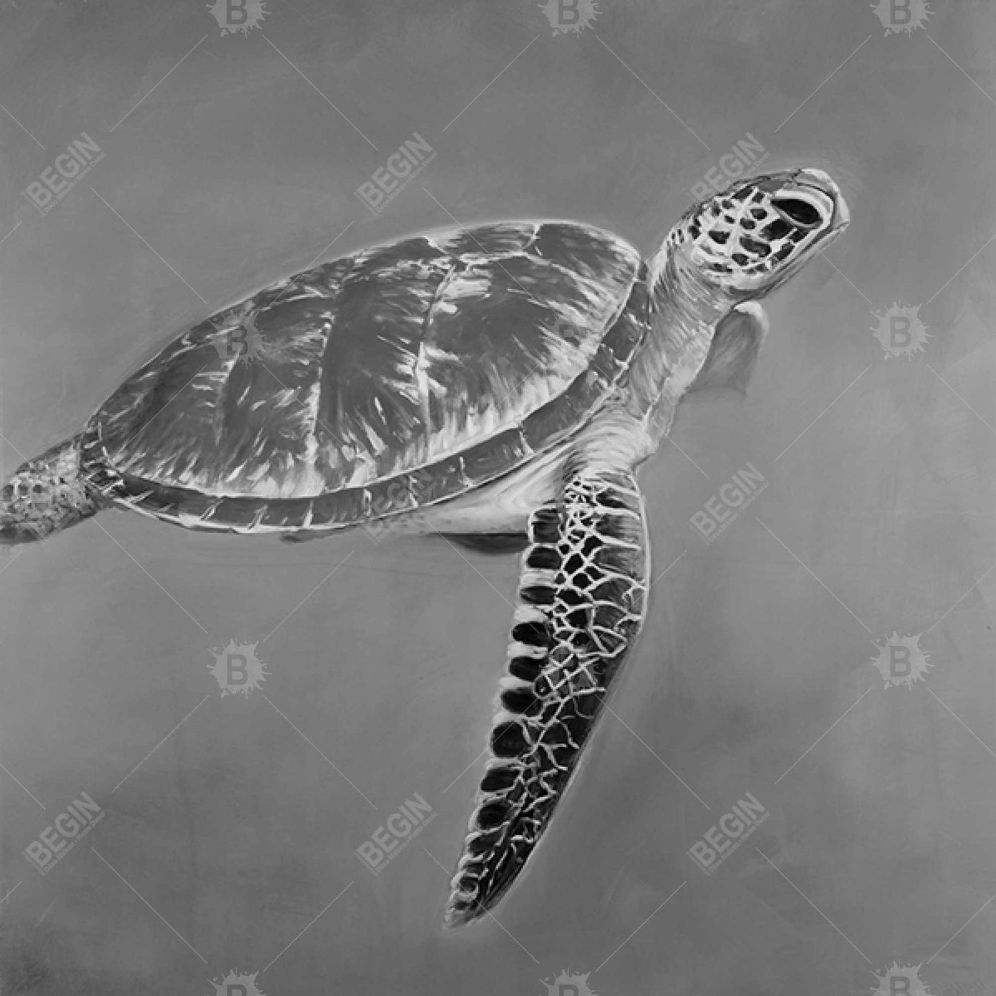 Toile Tortue aquatique en nuances de gris | Décoration d'intérieur avec cadre blanc