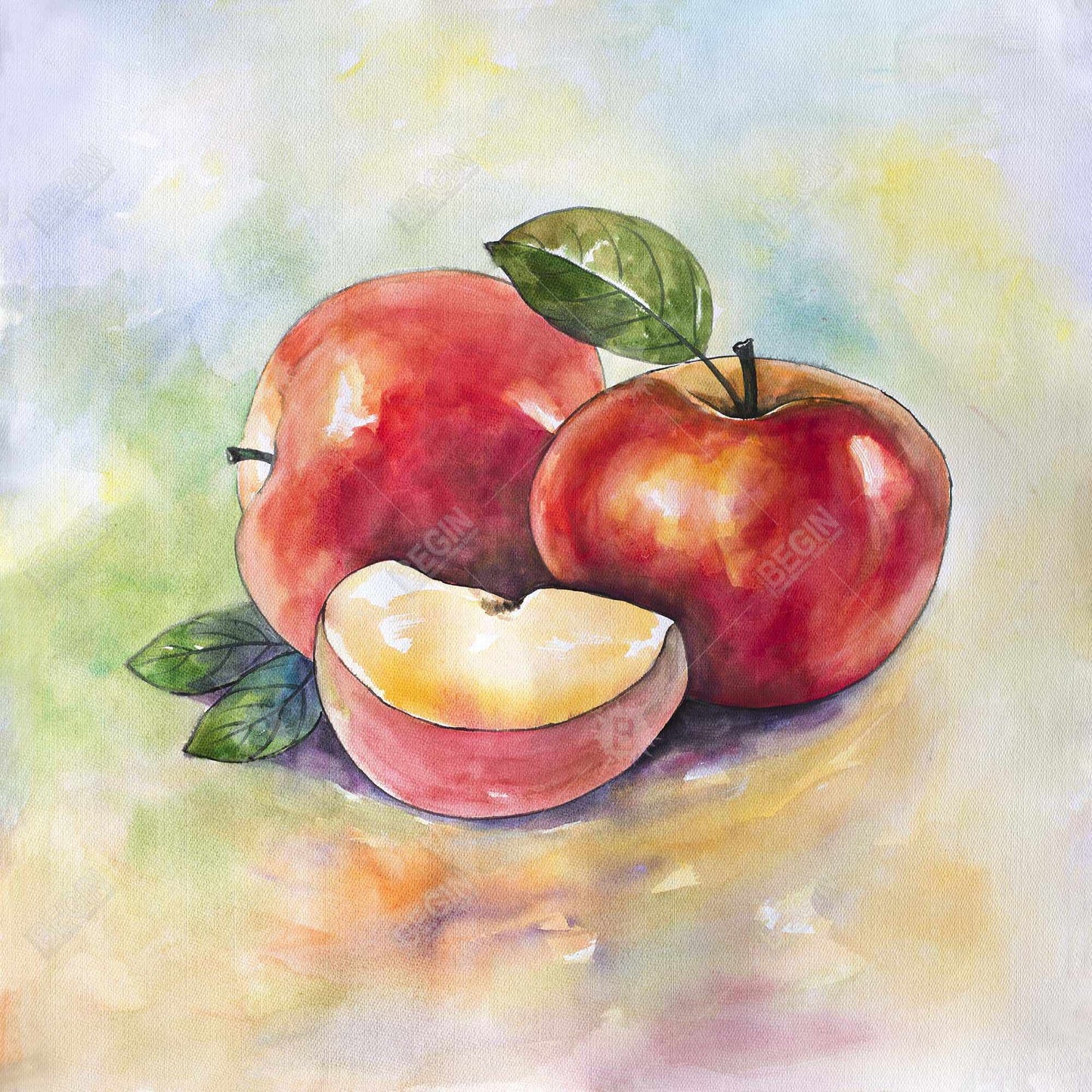 Succulent Apples Kitchen Canvas | Home Decor Wall Art