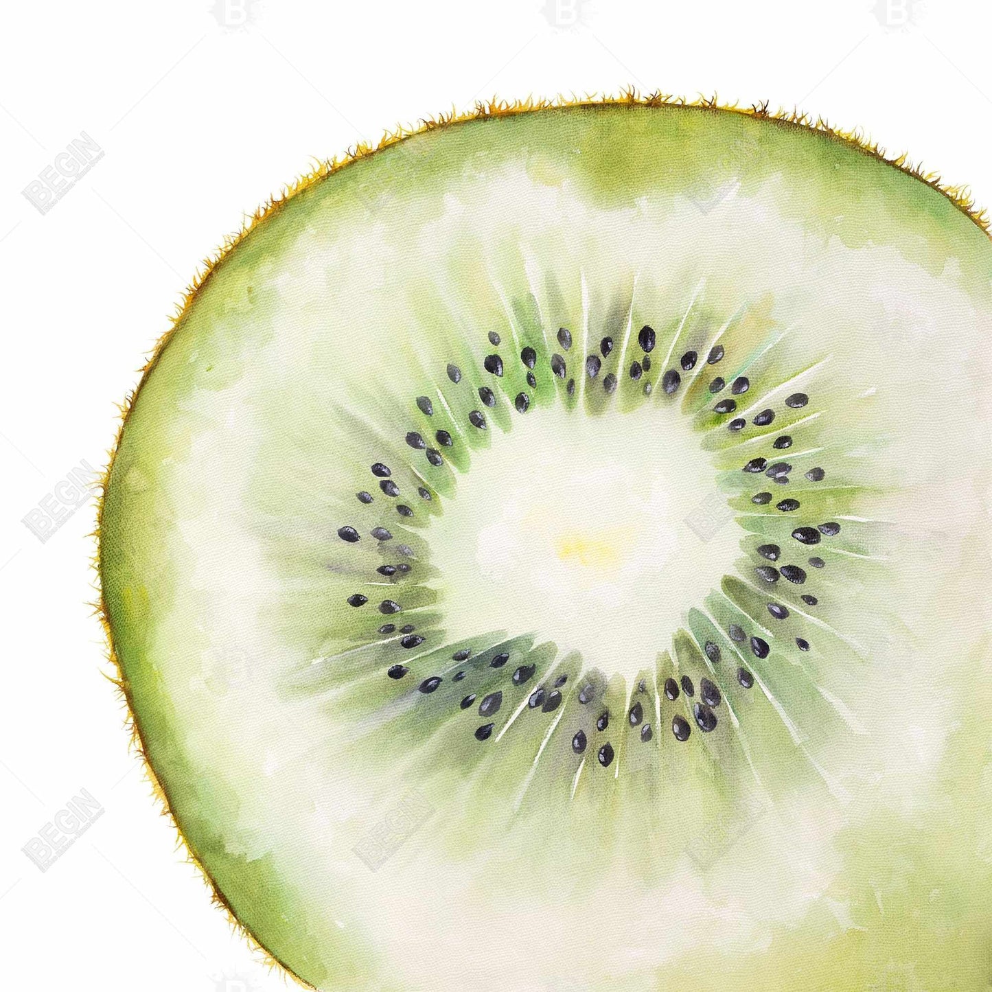 Kiwi Slice Green Canvas | Exotic Gastronomy Home Decor