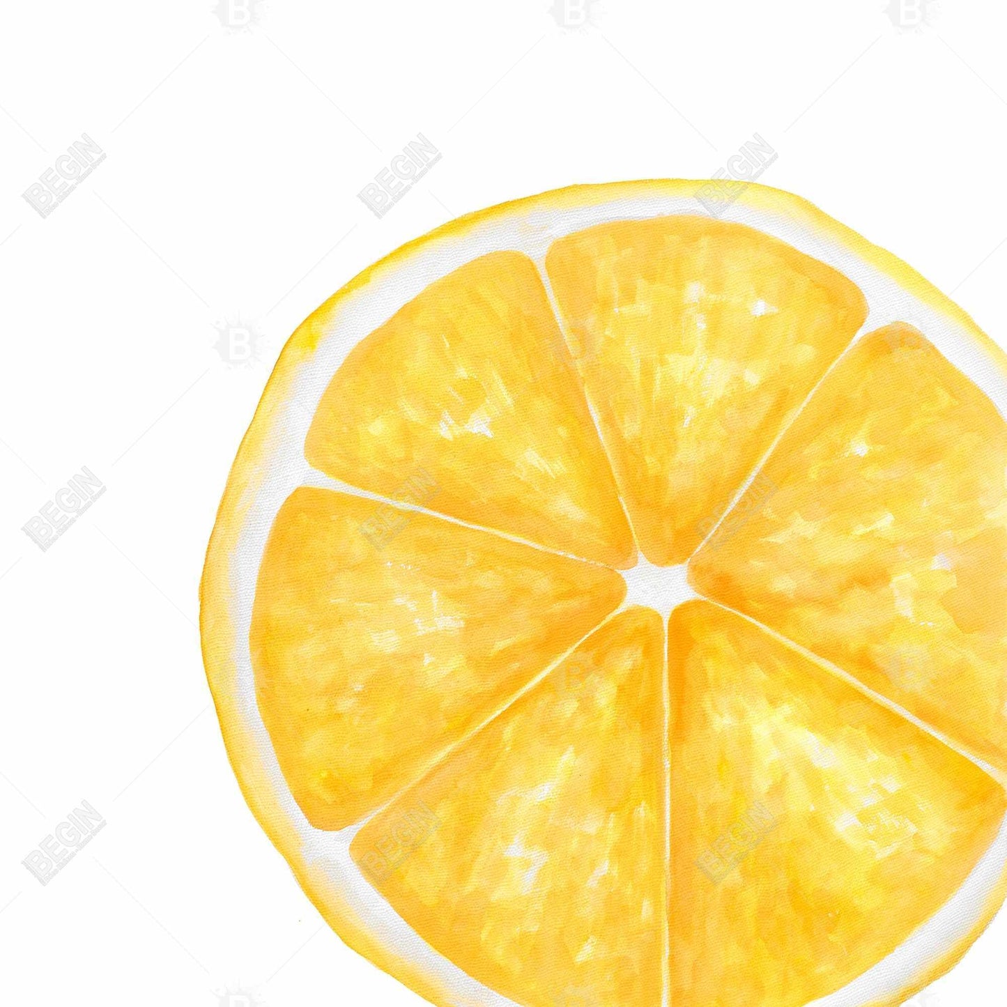 Exotic Lemon Slice Canvas | Unique Home Decor Wall Art