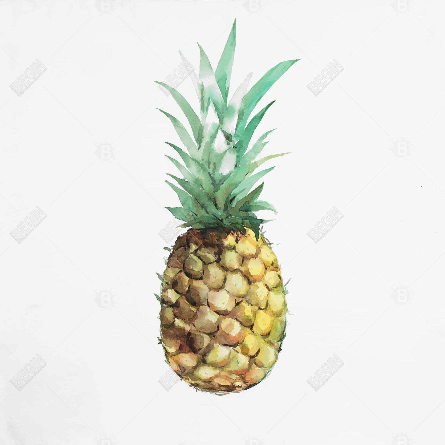 Watercolor Pineapple Canvas - Brown Exotic Kitchen Decor