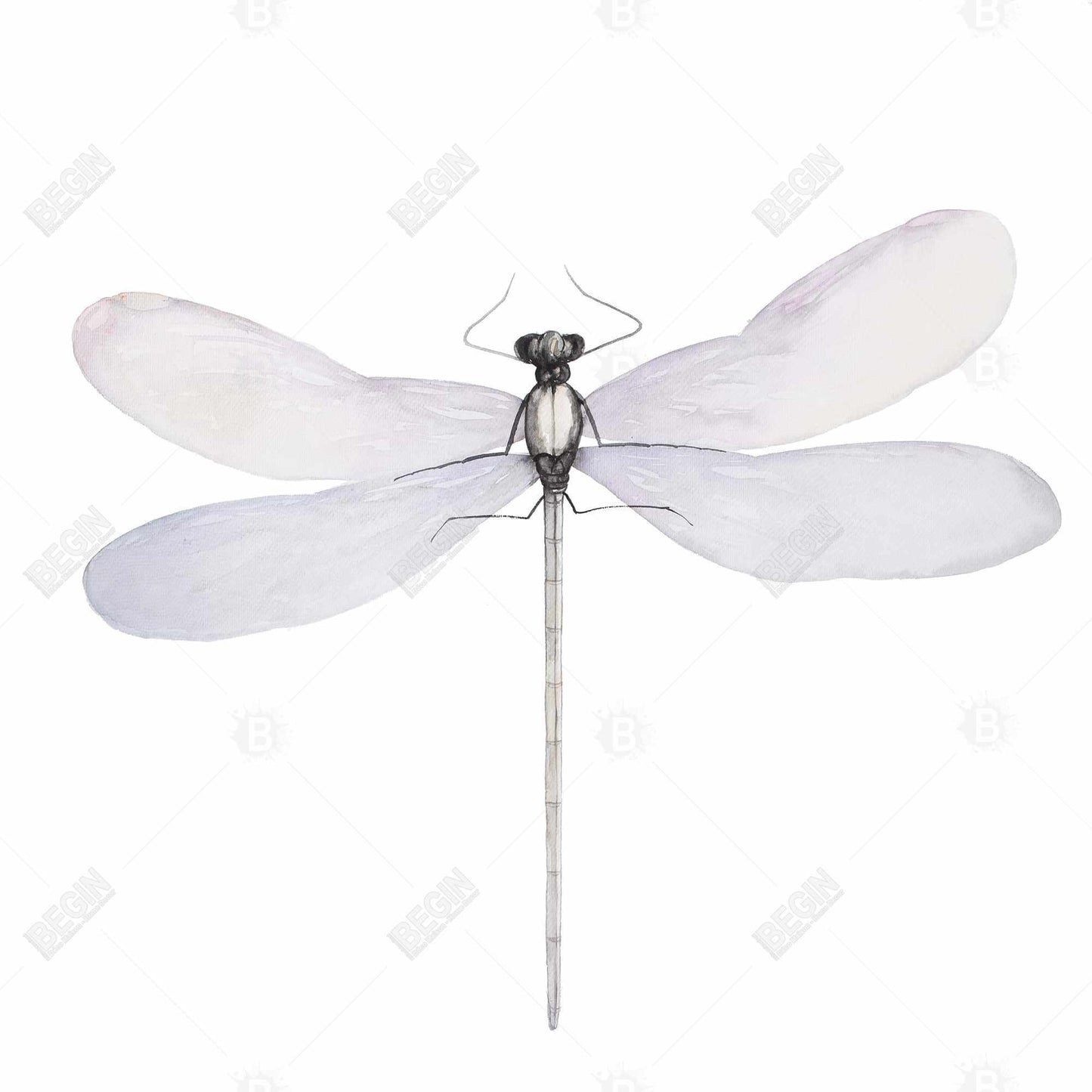 Delicate Dragonfly Gray Canvas - Insect Bedroom Home Decor