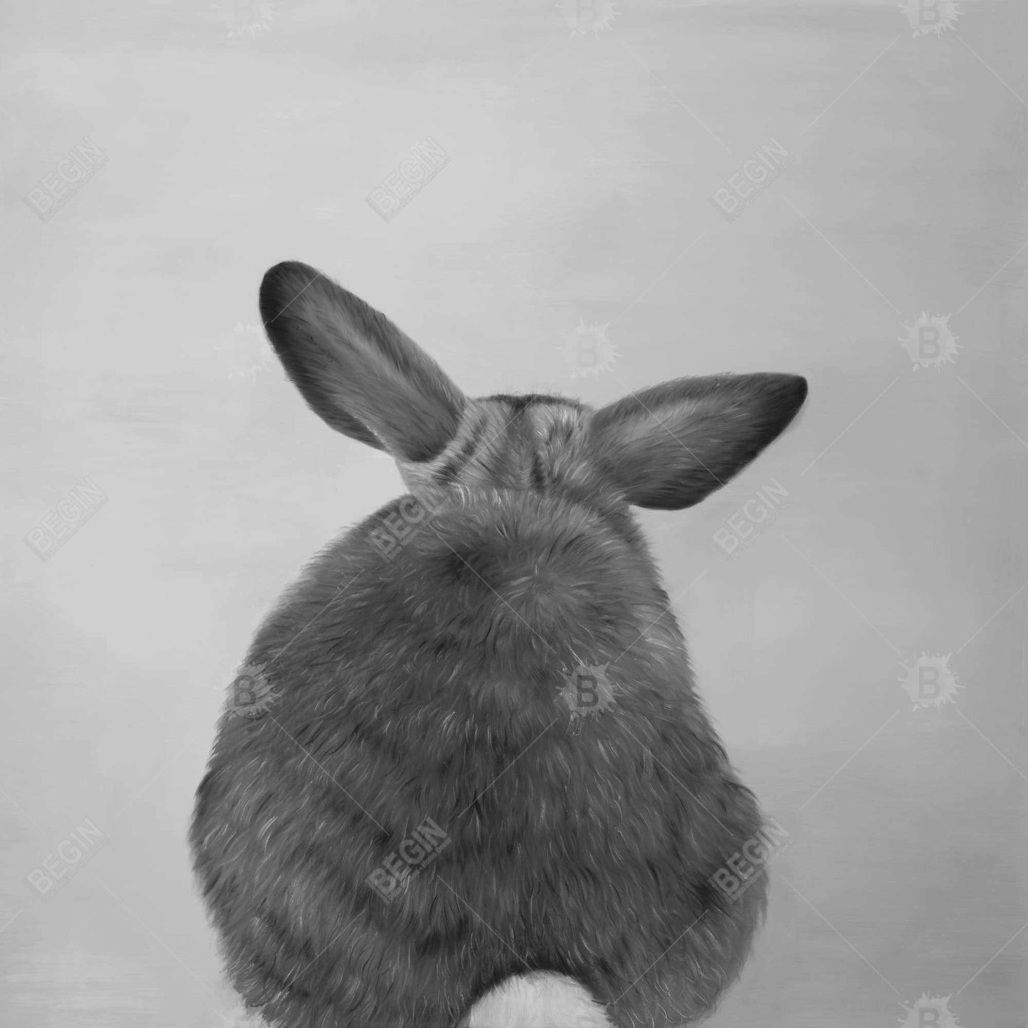 Monochrome Pets White Canvas - Little Rabbit from Behind Decor