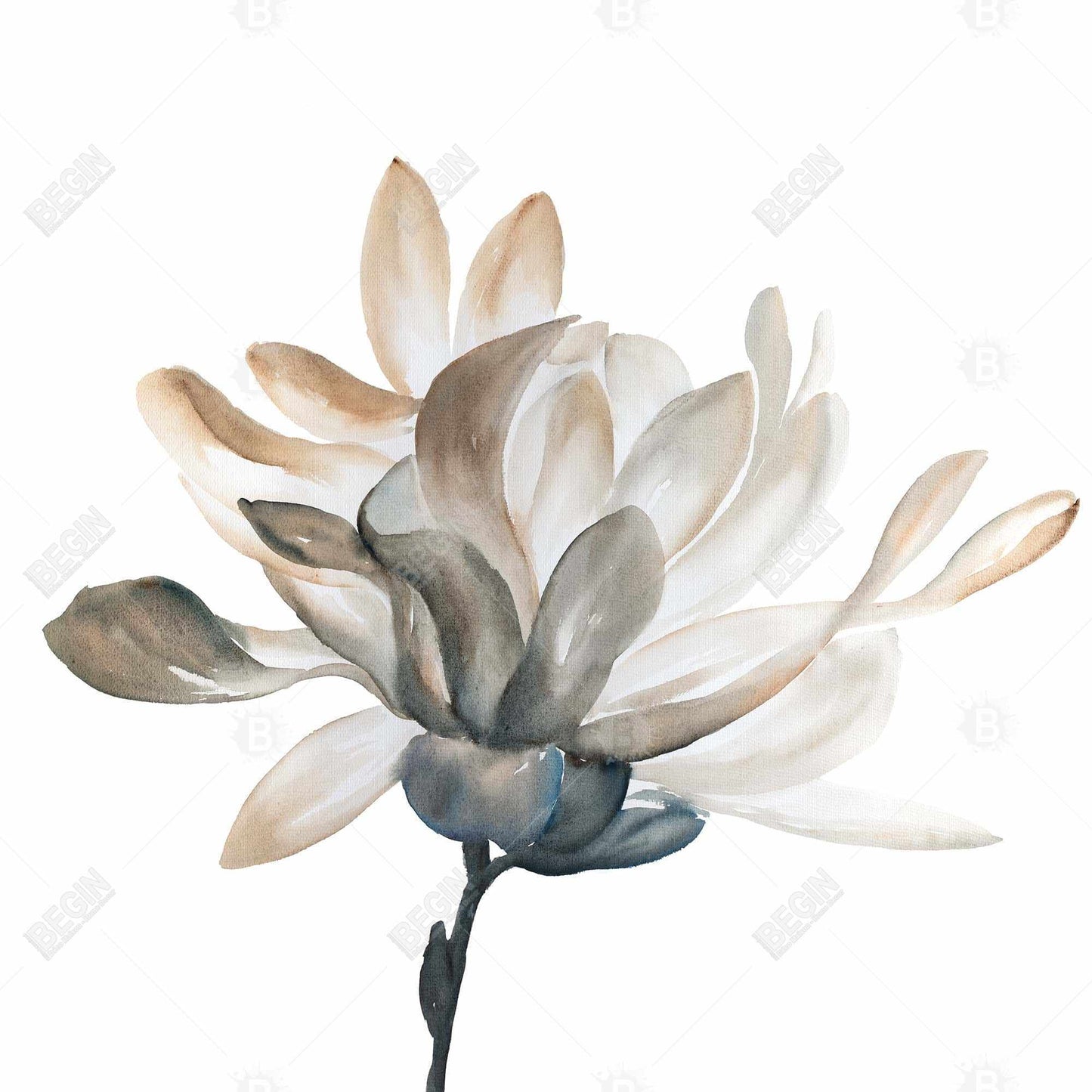 Softness Floral & Botanical Minimalist White Canvas Decor