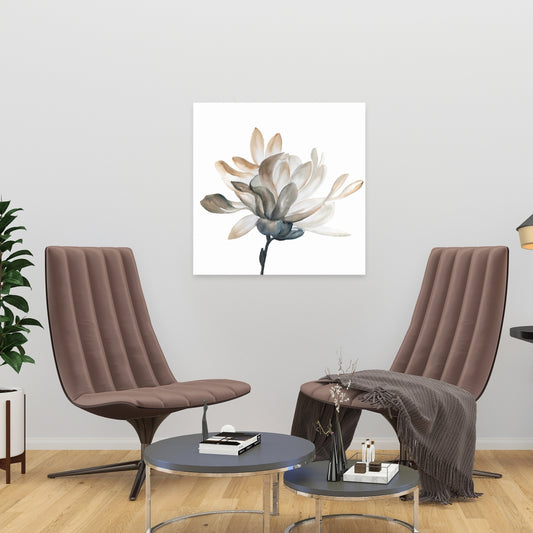 Softness Floral & Botanical Minimalist White Canvas Decor