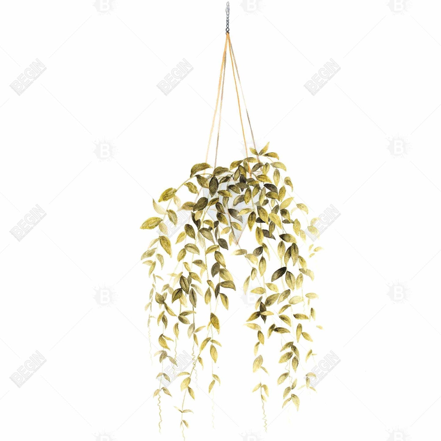 Hanging Plant Botanical Green Bedroom Canvas | Home Decor