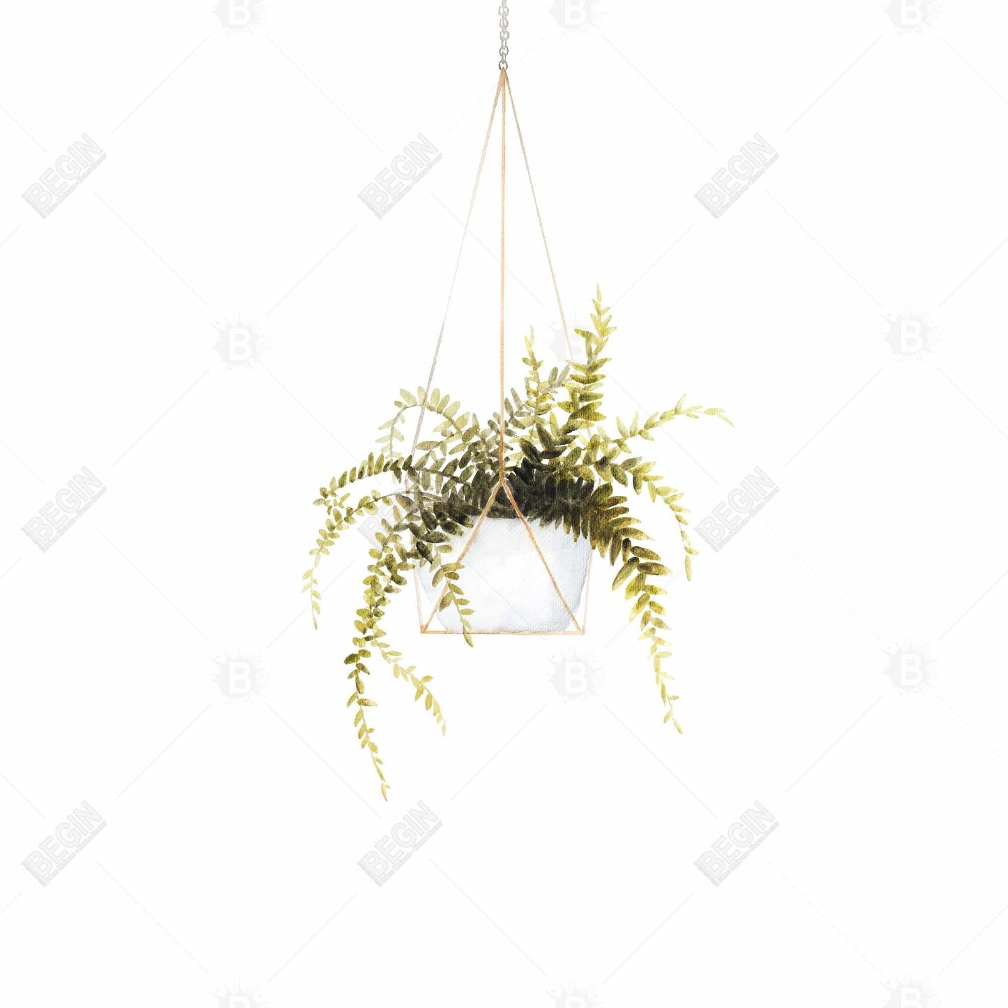 Suspended Fern Framed Canvas | Floral Botanical Bedroom Decor