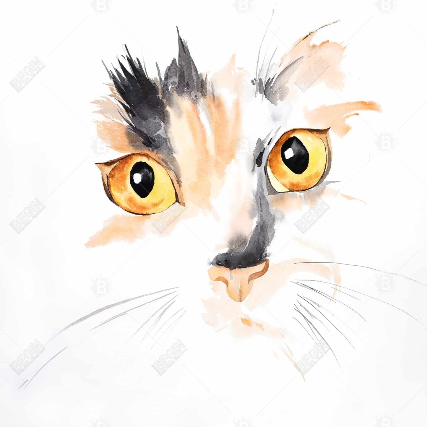 Watercolor Cat Face Closeup Framed Canvas - Gray Home Decor