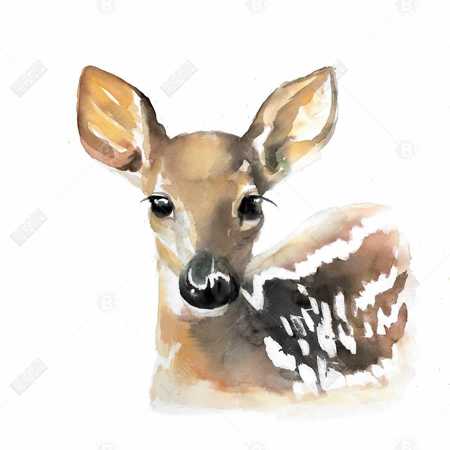 Toile aquarelle « Fawn Face » | Cadre rustique marron