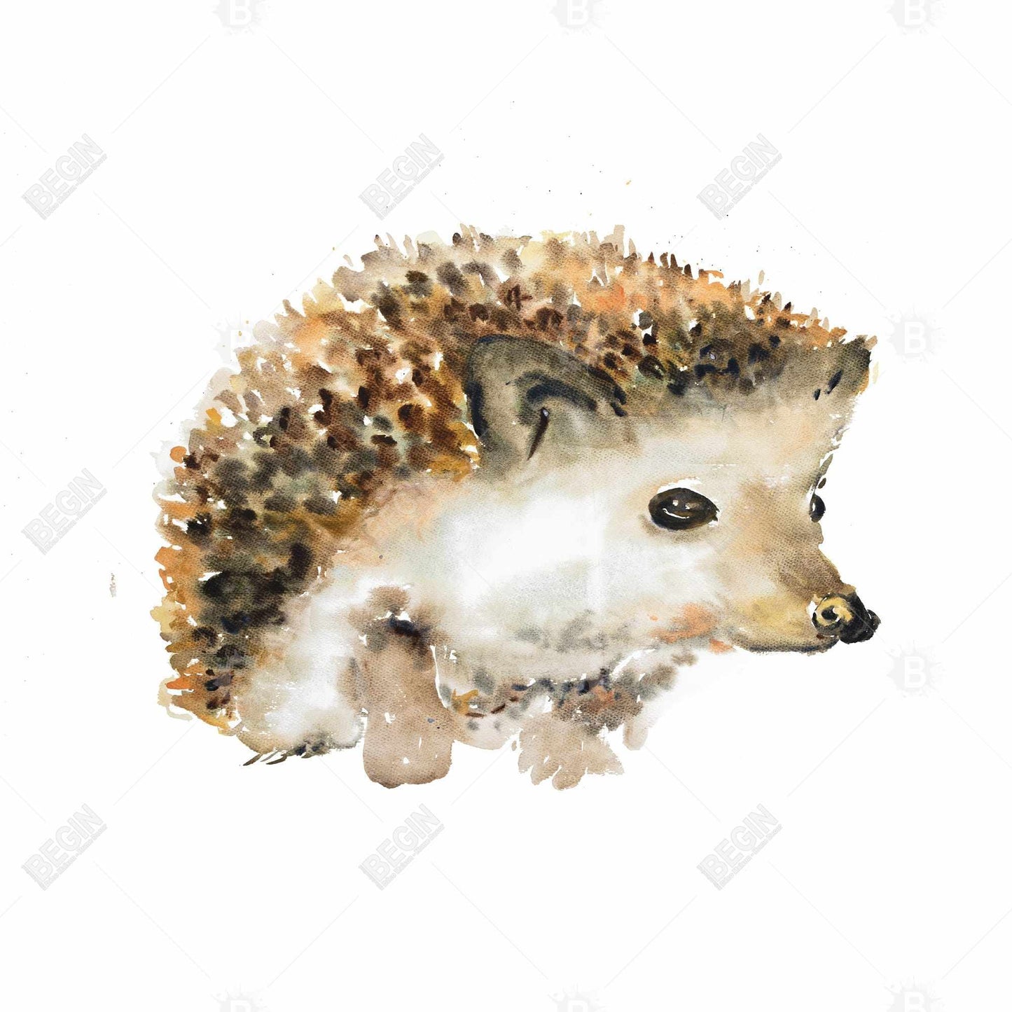 Watercolor Hedgehog Canvas | Scandinavian Brown Animal Decor