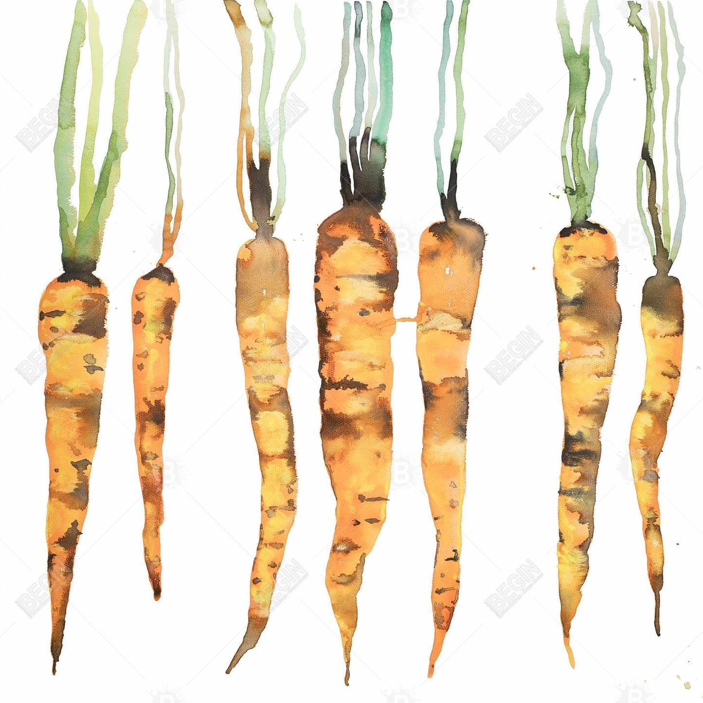 Modern Botanical Gastronomy Canvas - Freshly Picked Carrots Decor