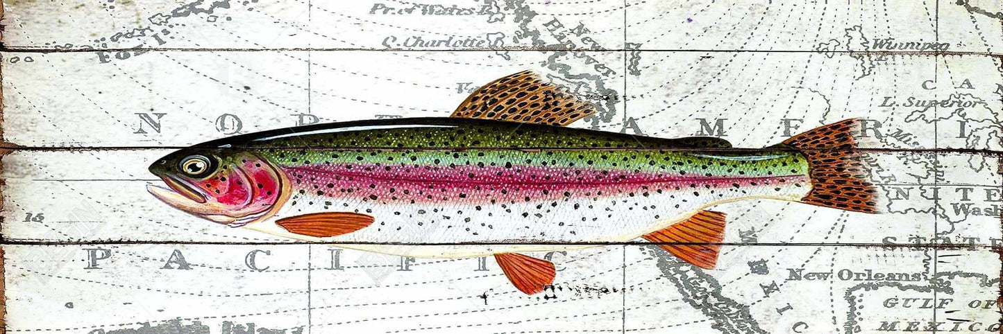 Toile encadrée « Truite sur carte du monde » | Décoration aquatique rouge