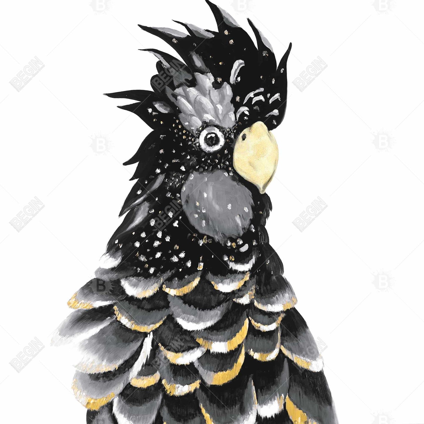 Red-tailed Cockatoo Parrot Canvas | Black Bird Home Decor