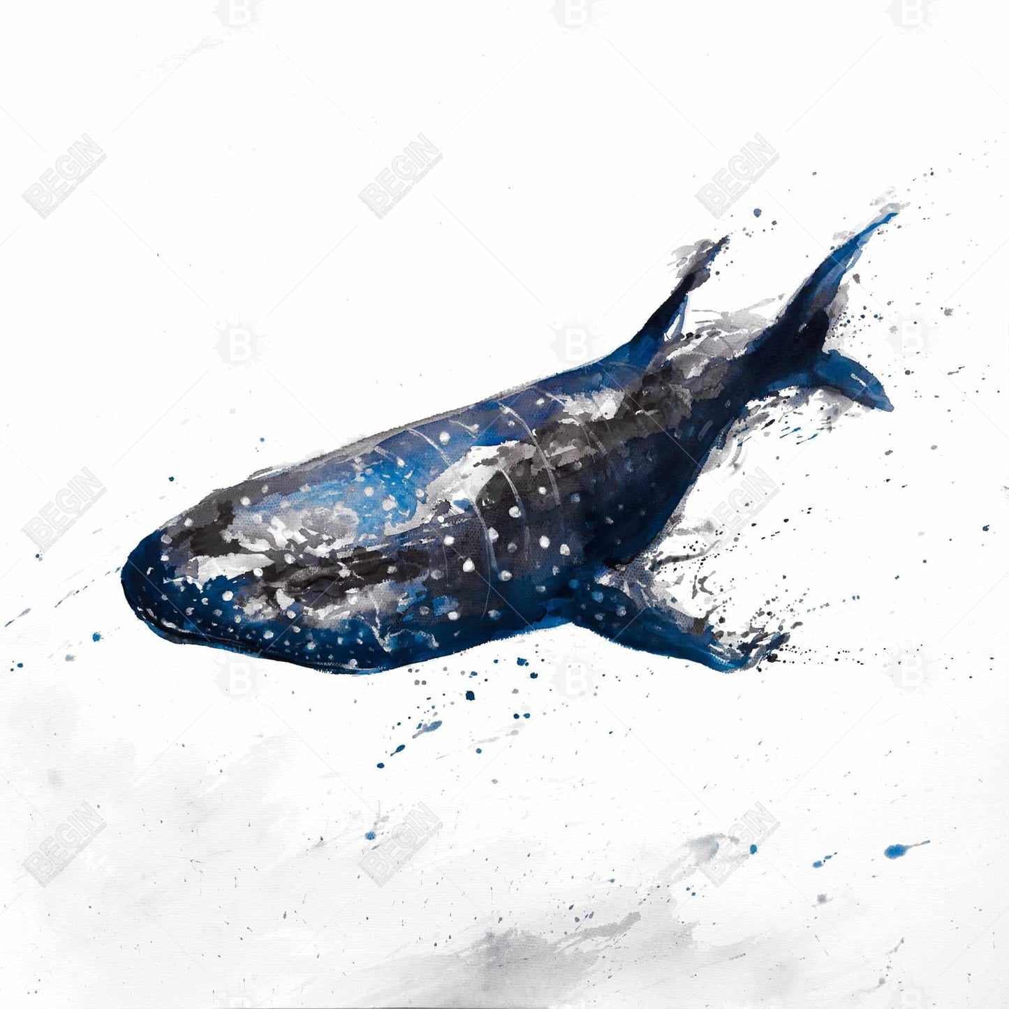 Toile abstraite représentant un requin-baleine | Décoration de salle de bain marine