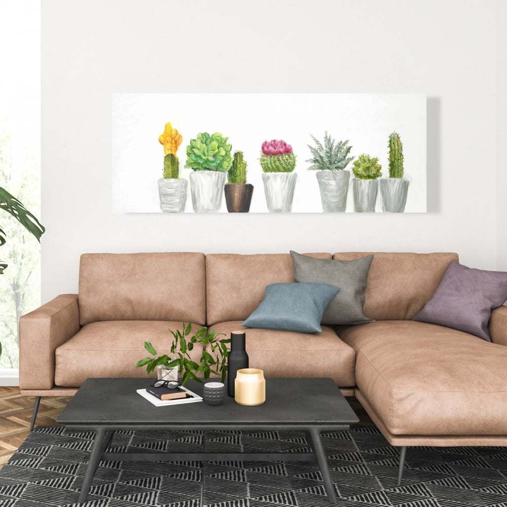 Mini cactus et plantes succulentes | Décoration botanique pour salle de bain