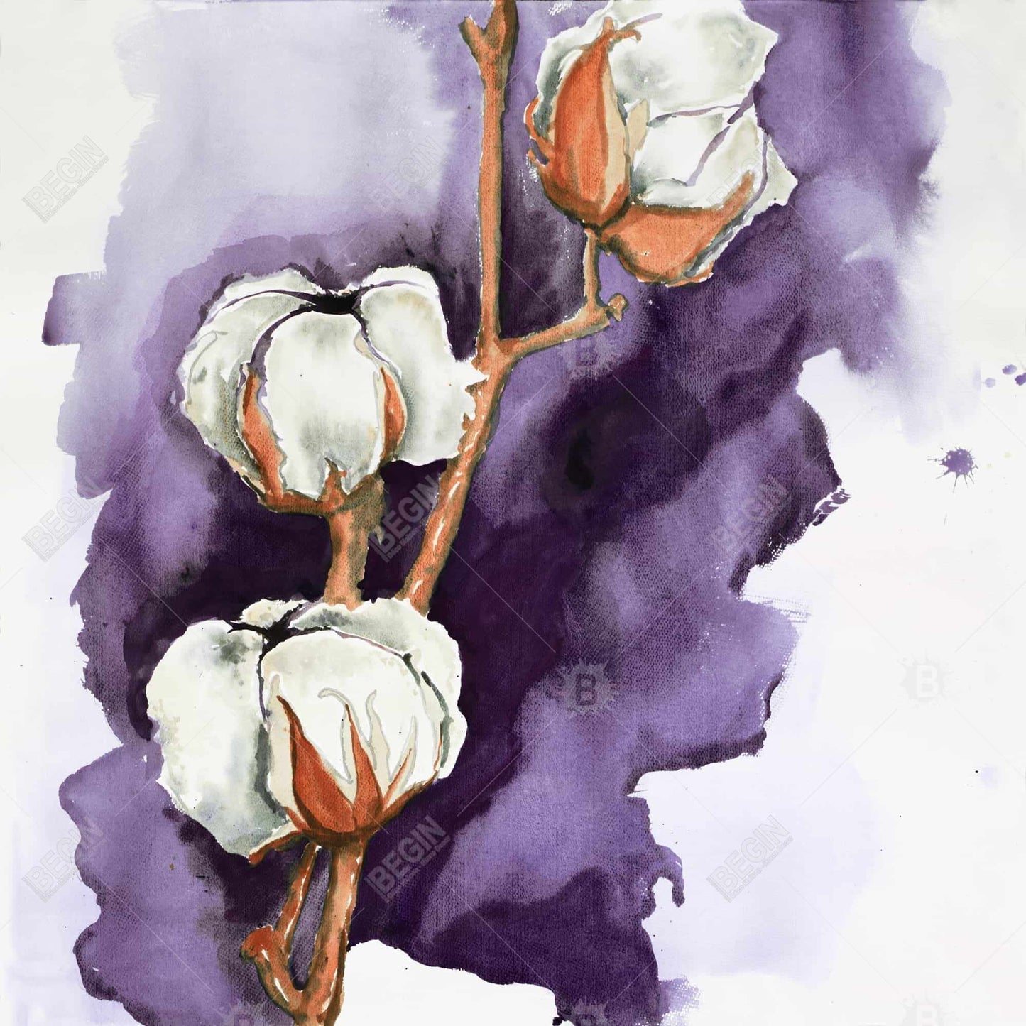 White Floral Canvas | Cotton Flowers on Purple | Home Decor