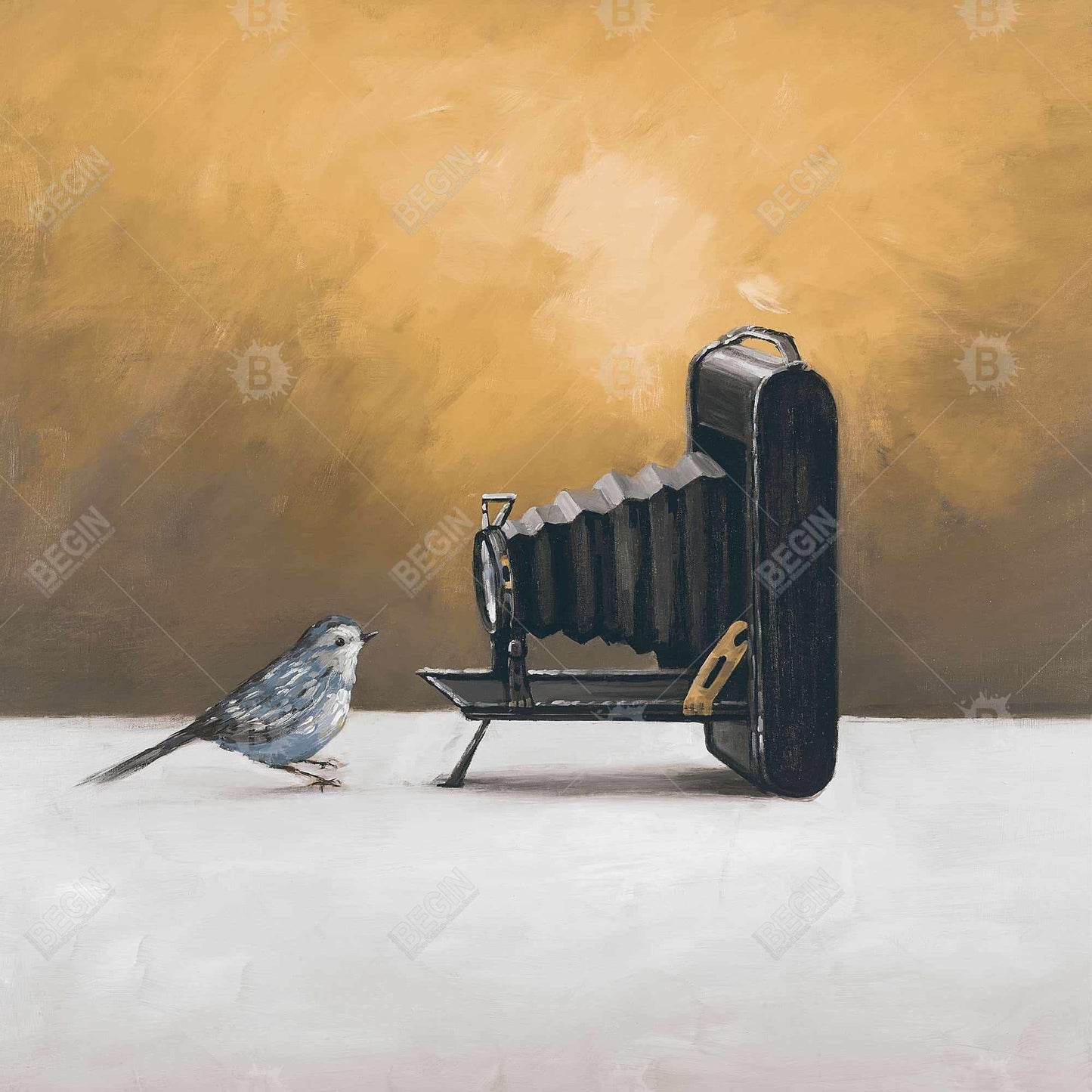 Rustic Animals Canvas - Old Camera with Bird | Home Decor