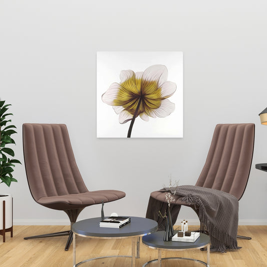 Beautiful Anemone Yellow Flower Canvas | Home Decor Art