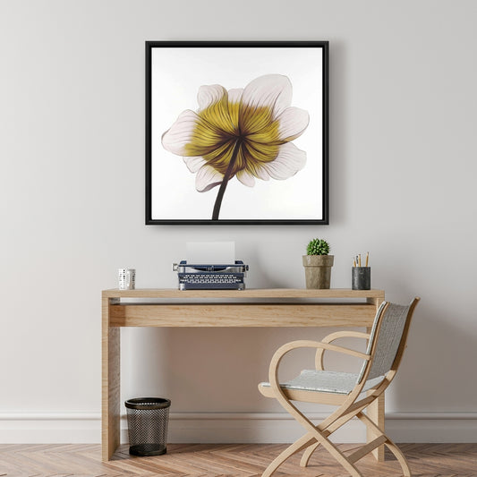 Beautiful Anemone Yellow Flower Canvas | Floral Bedroom Decor