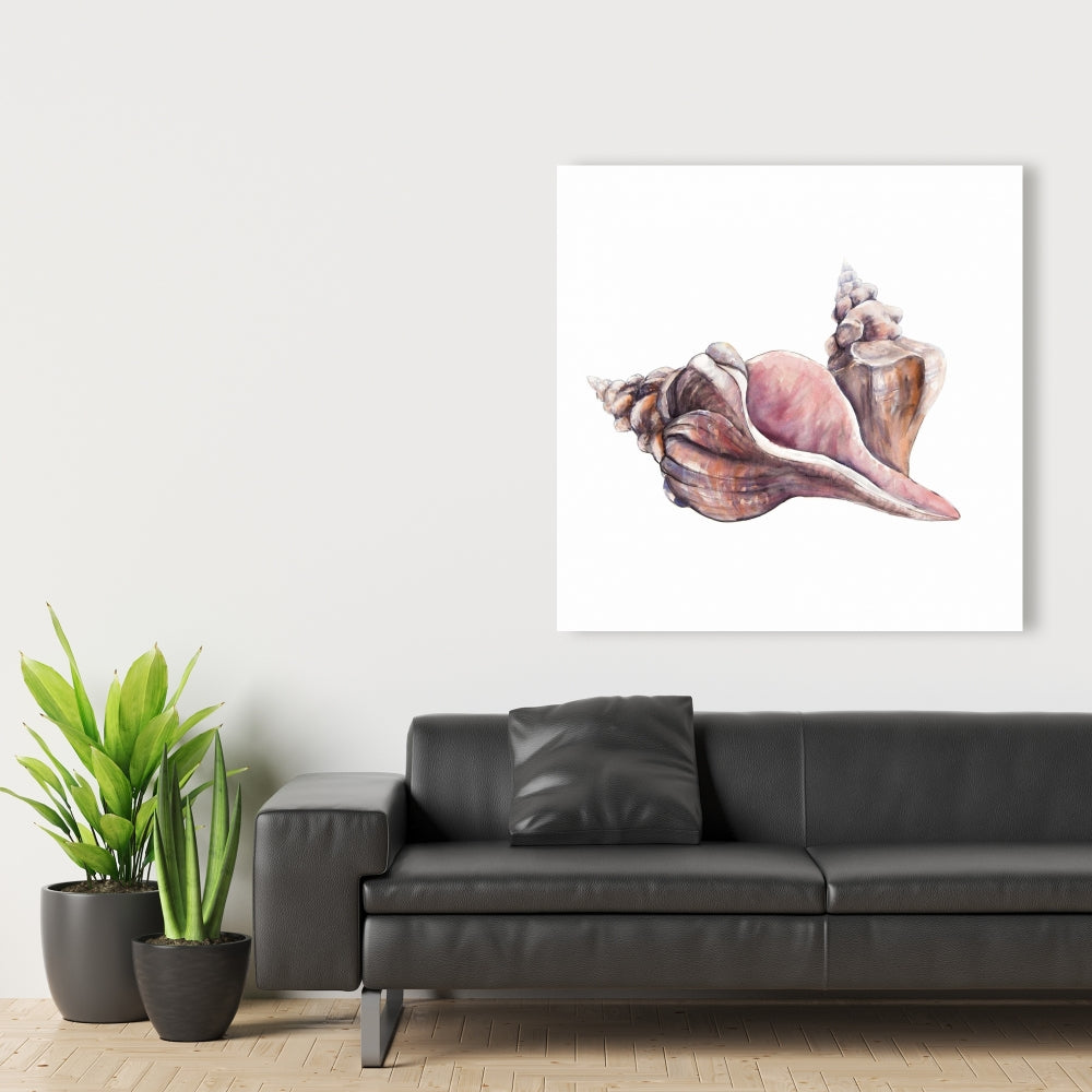 Sea Pink Horse Conch Seashells Canvas | Coastal Home Decor